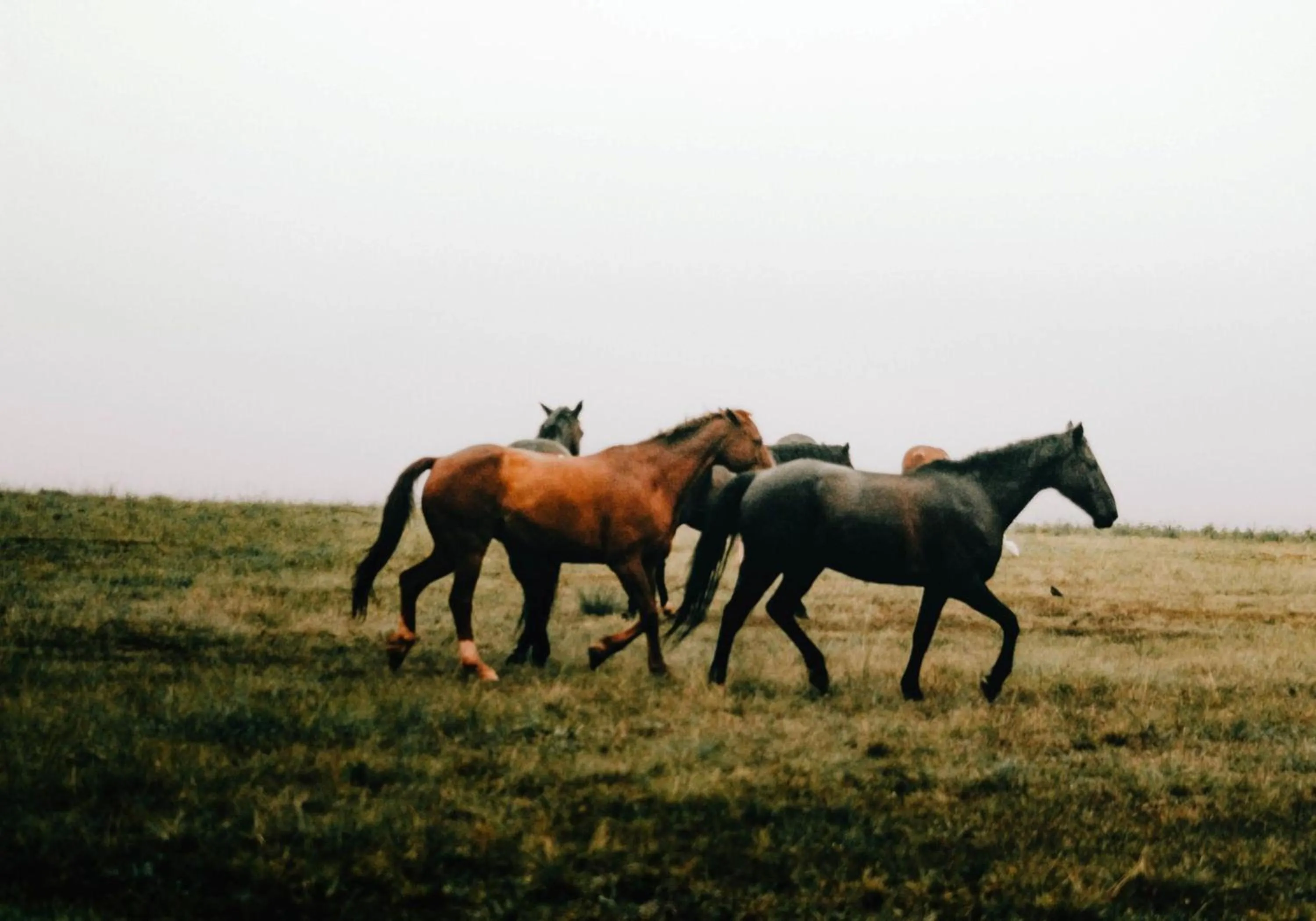 Activities in Montusi Mountain Lodge