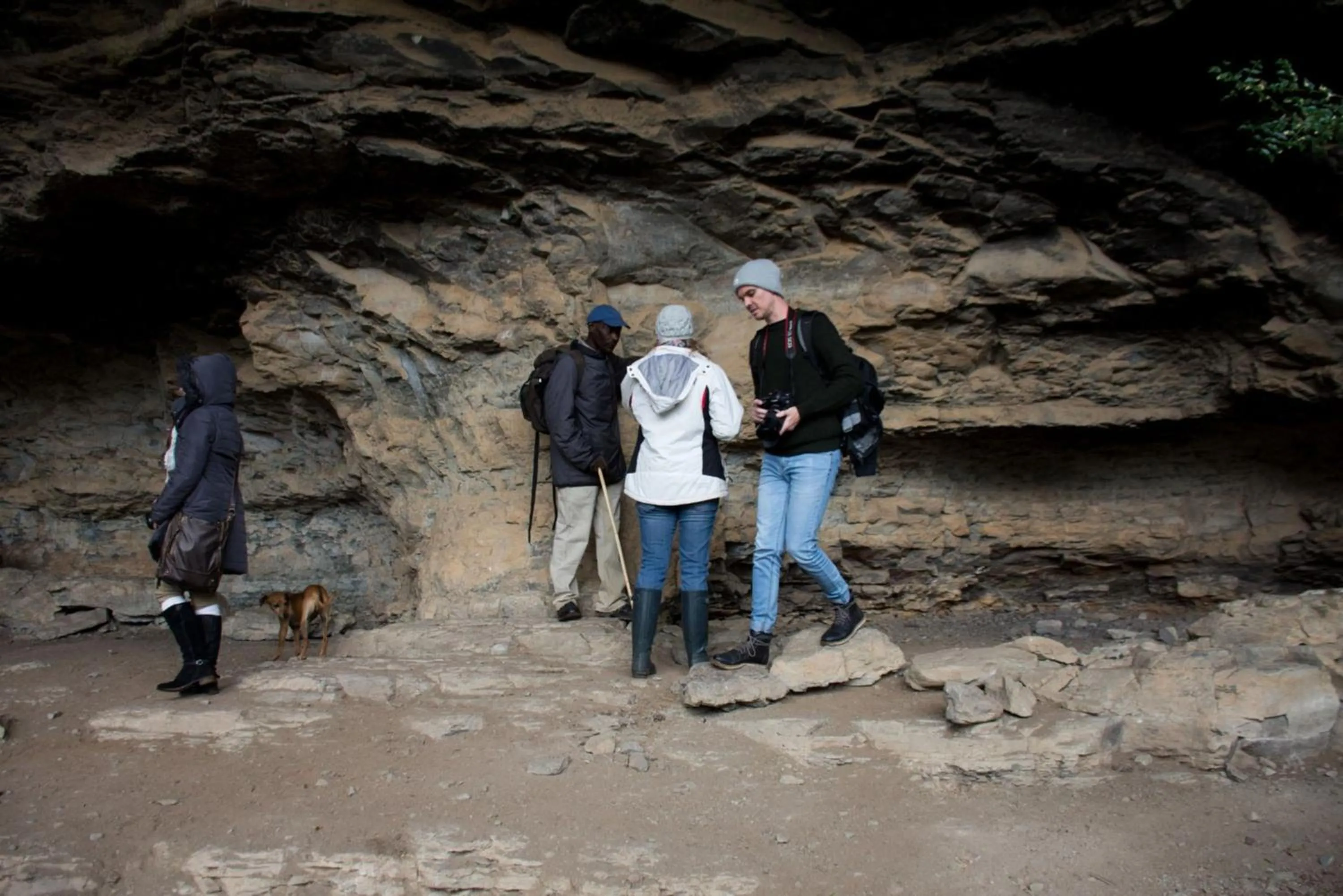 Property building in Montusi Mountain Lodge