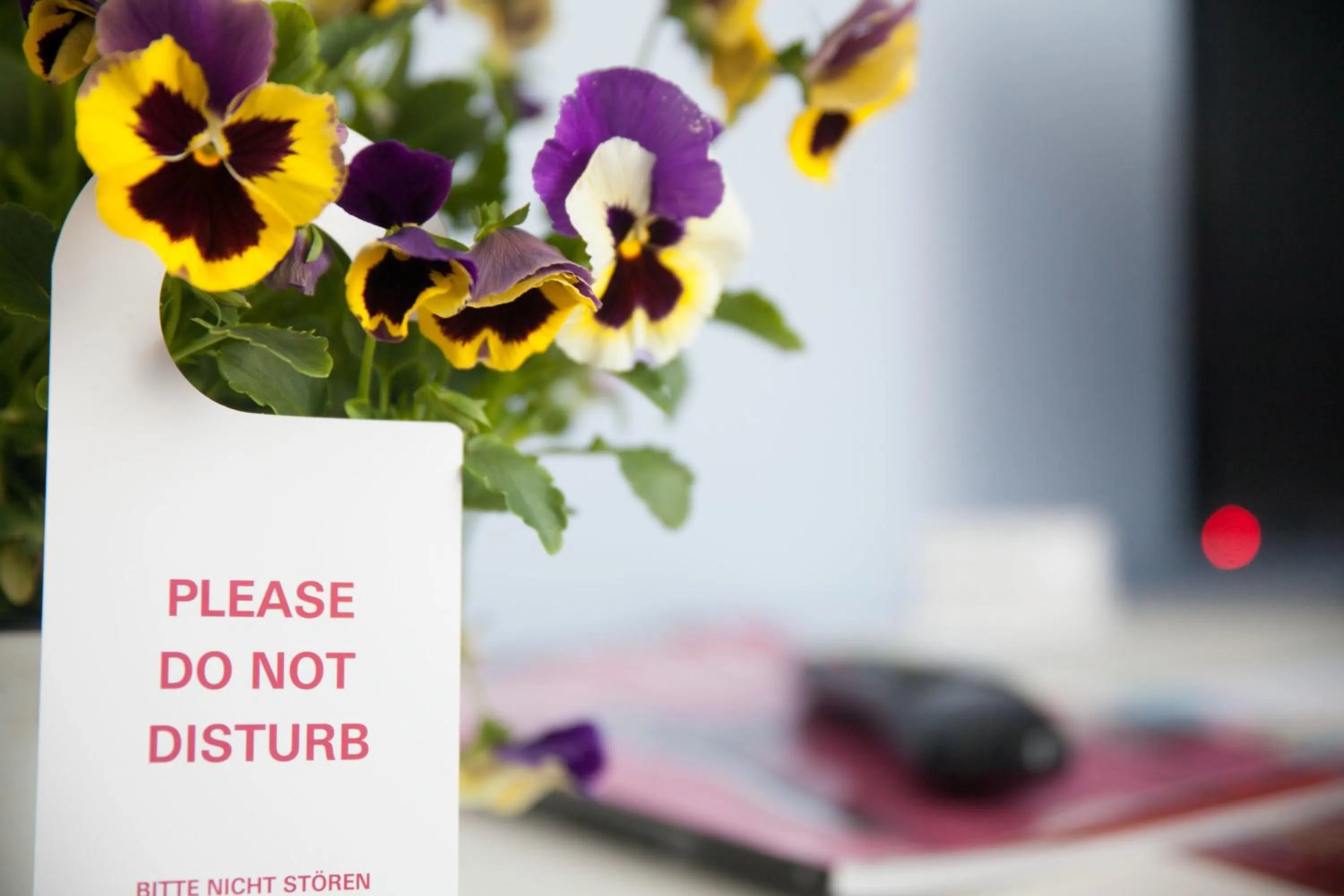 Other in B&B Trapani In