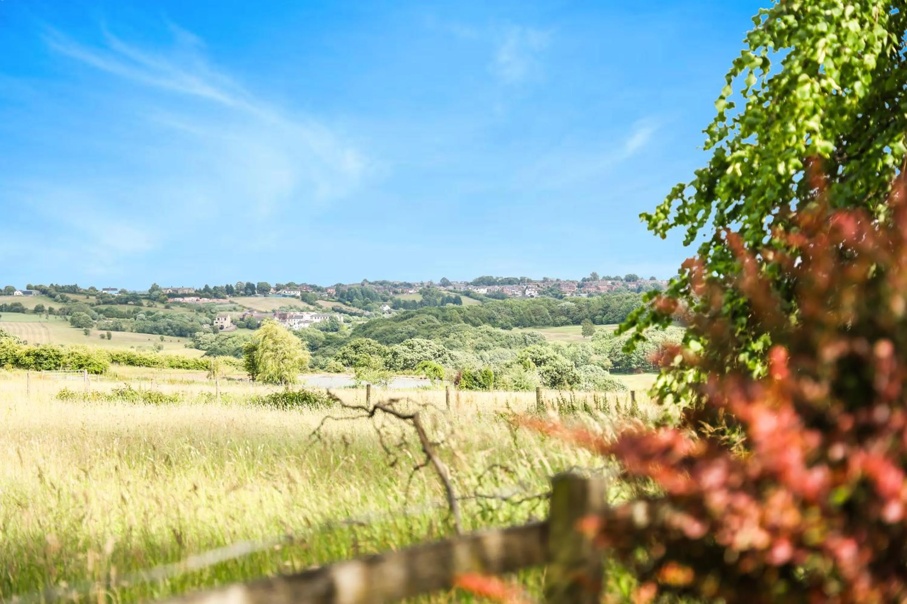 Natural landscape in OYO Tong Park Hotel