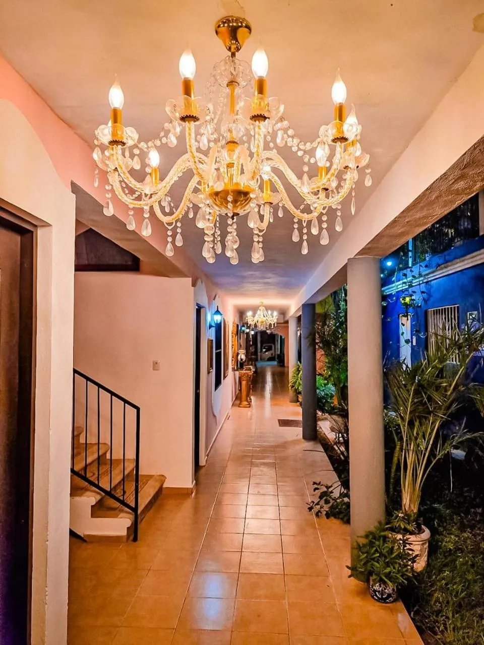 Garden in Palacio Canton Hotel - Valladolid