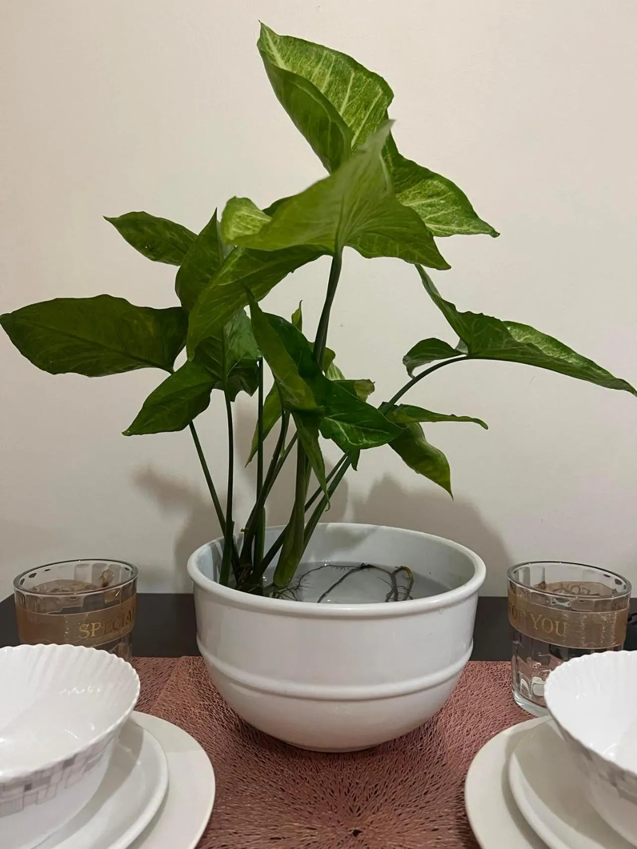 Dining area in Inspiria Condominium Tower, beside Abreeza Ayala Mall, Davao City