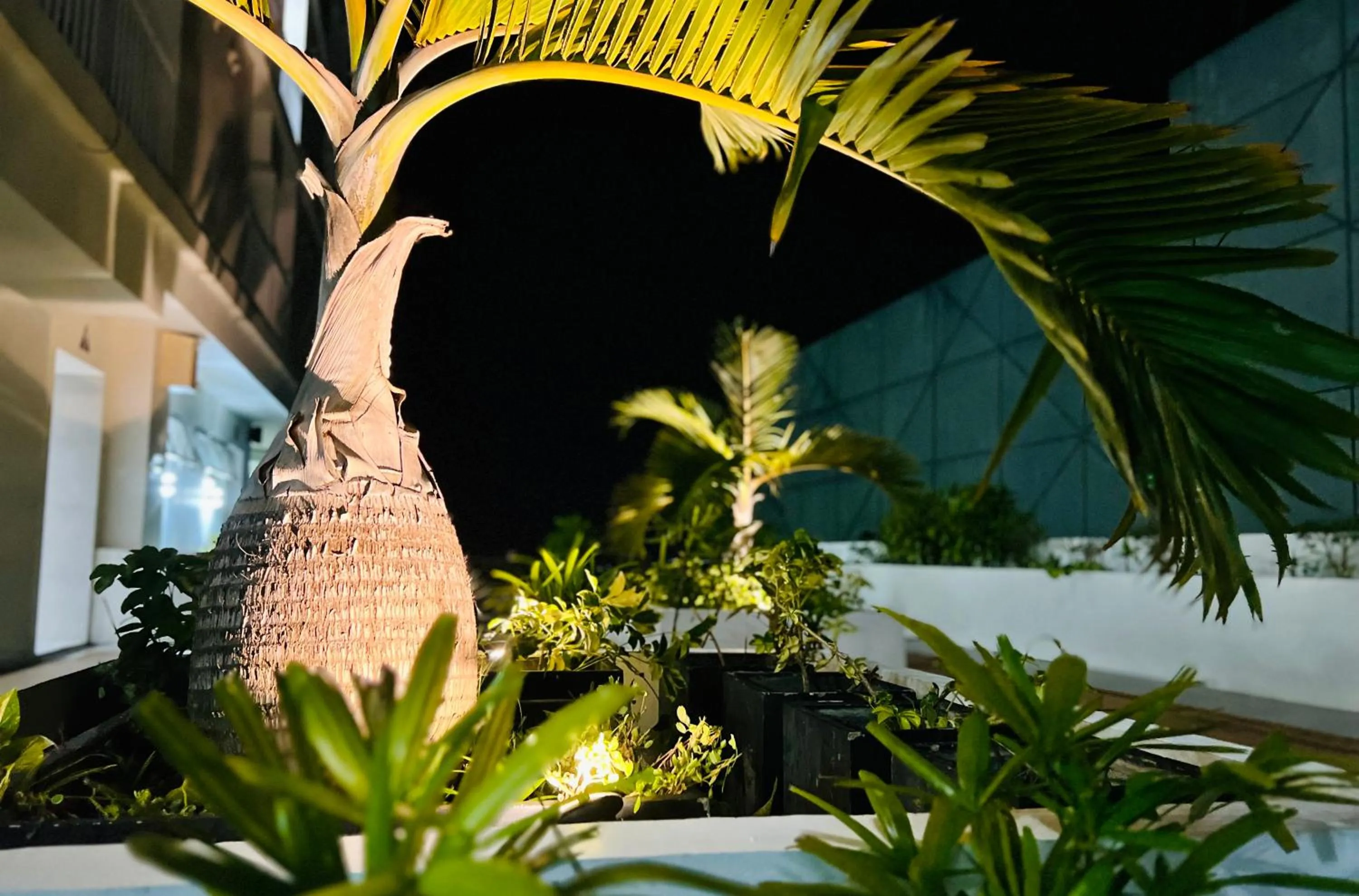 Garden in Inspiria Condominium Tower, beside Abreeza Ayala Mall, Davao City