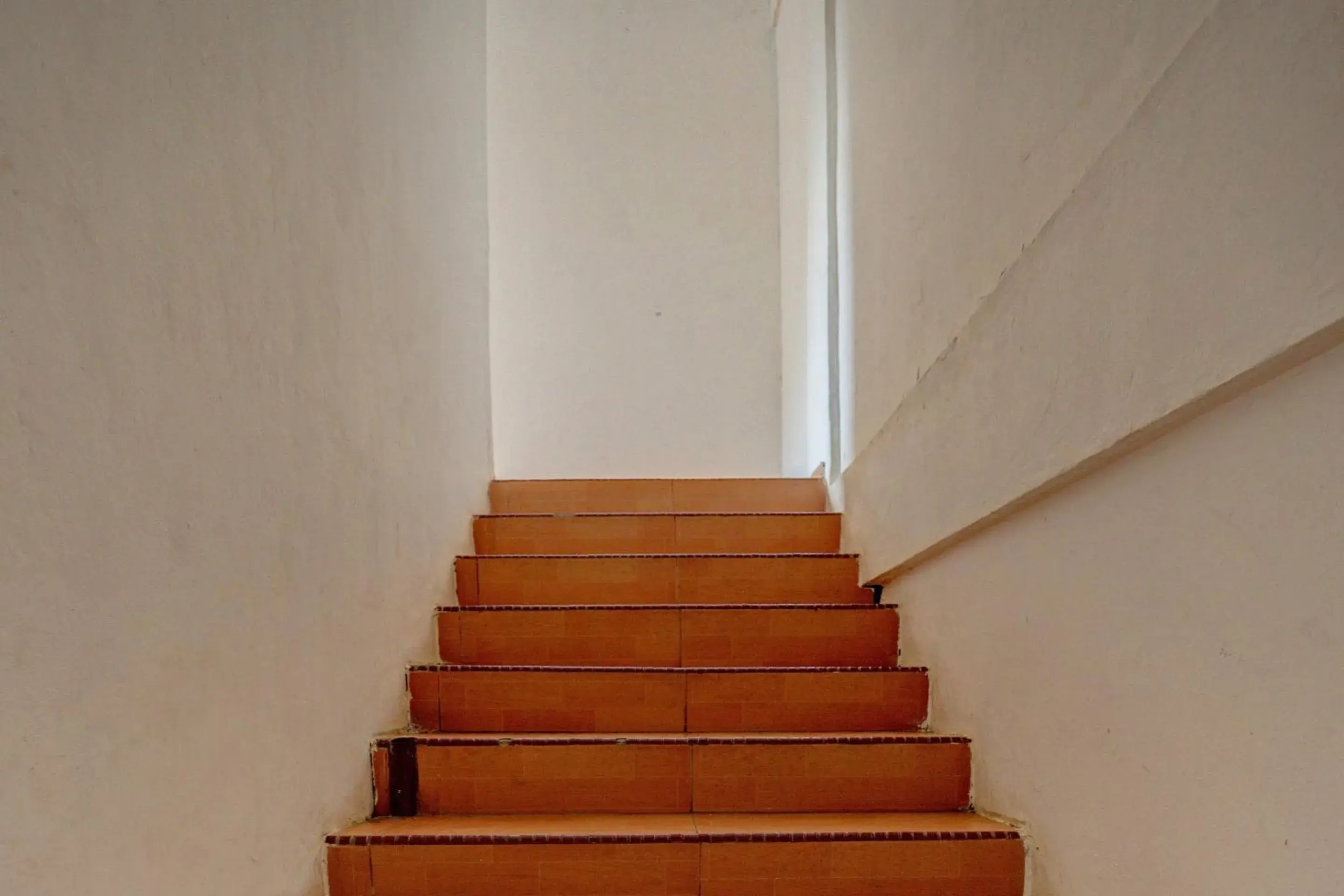 Lobby or reception in Hotel O Pelita StayNearAnugrah Sinar Lautan Lobby or reception in Hotel O Pelita StayNearAnugrah Sinar Lautan