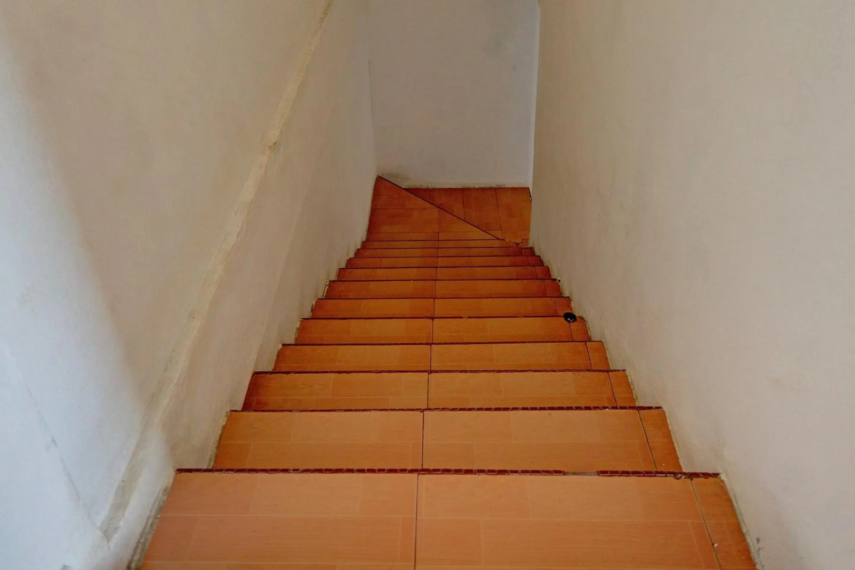 Lobby or reception in Hotel O Pelita StayNearAnugrah Sinar Lautan Lobby or reception in Hotel O Pelita StayNearAnugrah Sinar Lautan