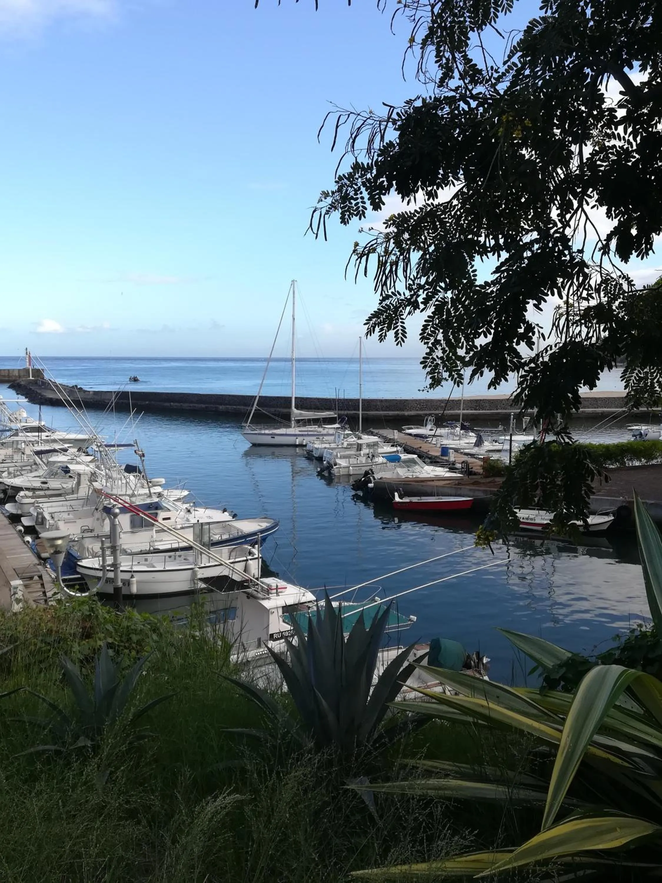 Fishing in Hotel De la Plage