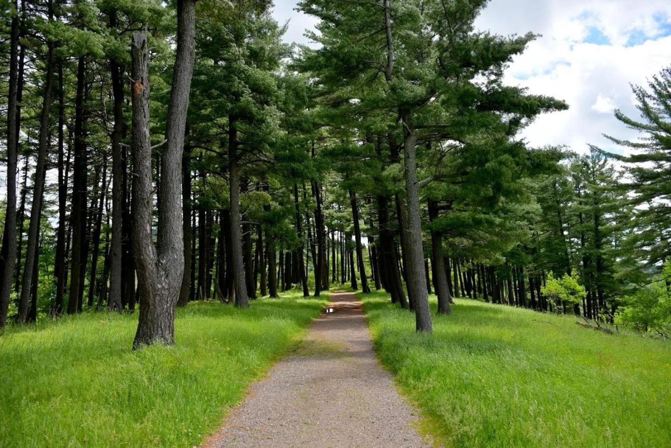 Hiking in TownePlace Suites by Marriott Iron Mountain