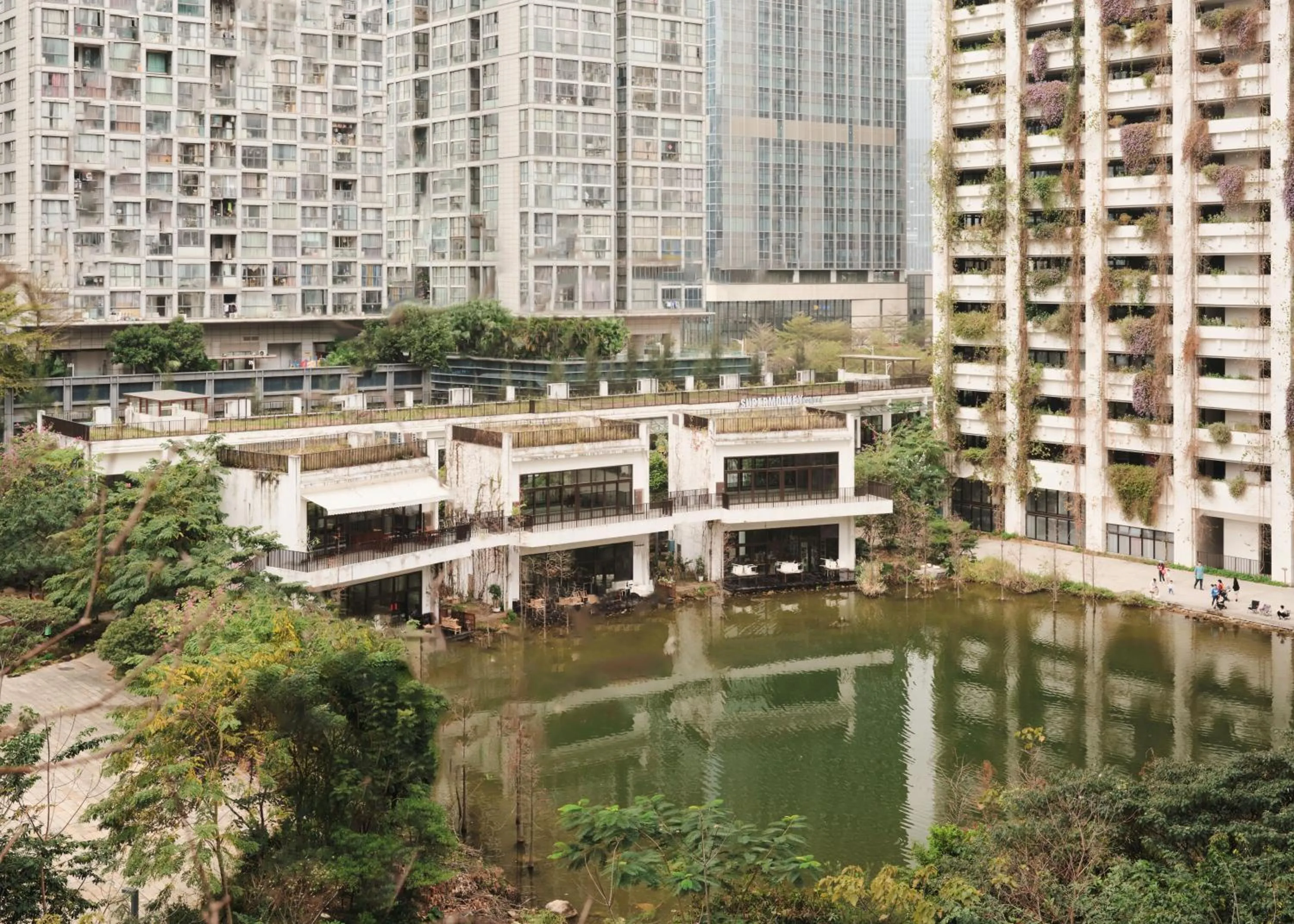 Lake view in Wutong Hotel Apartment Bao'an Center