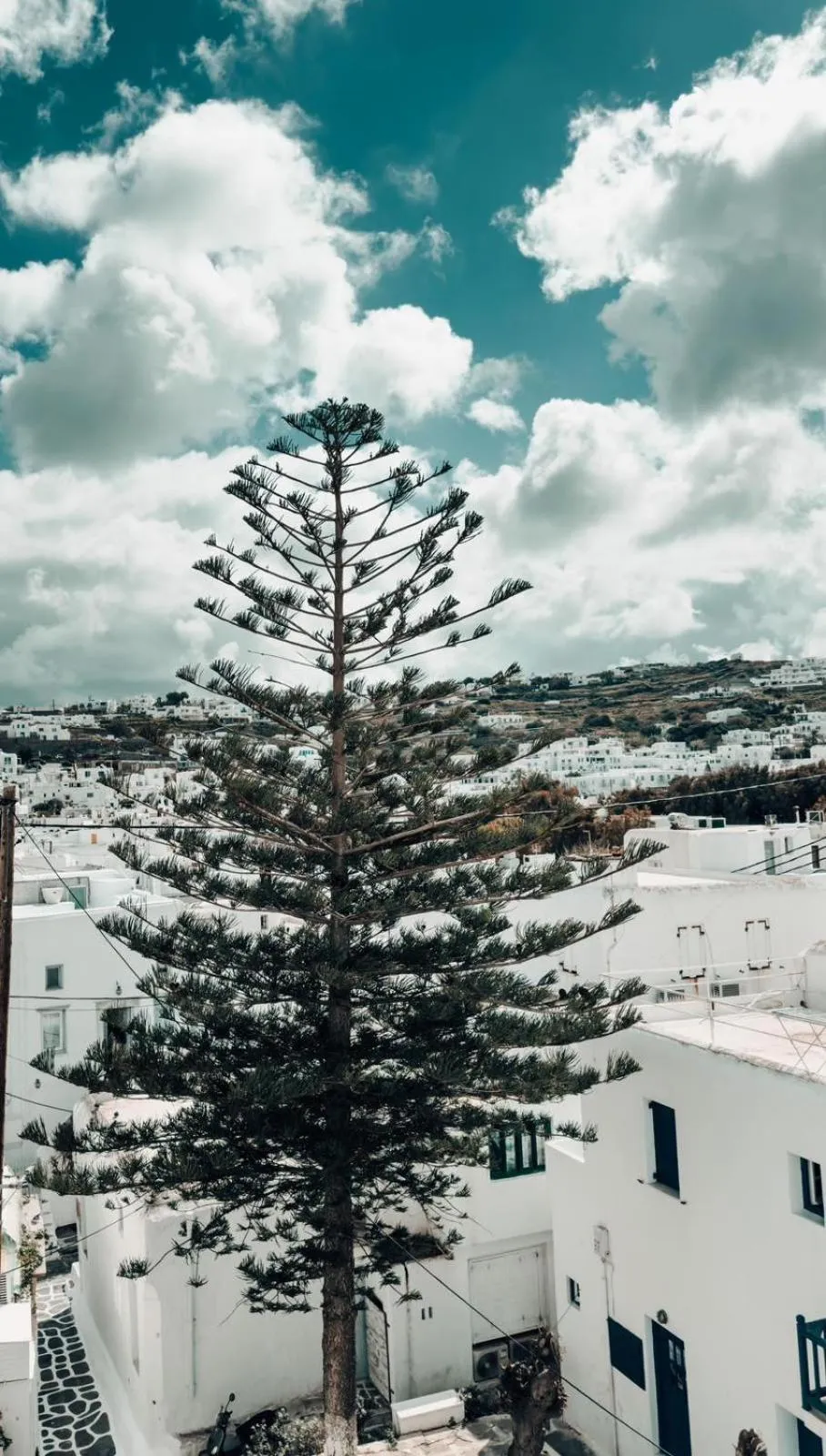 Natural landscape in Alana Mykonos