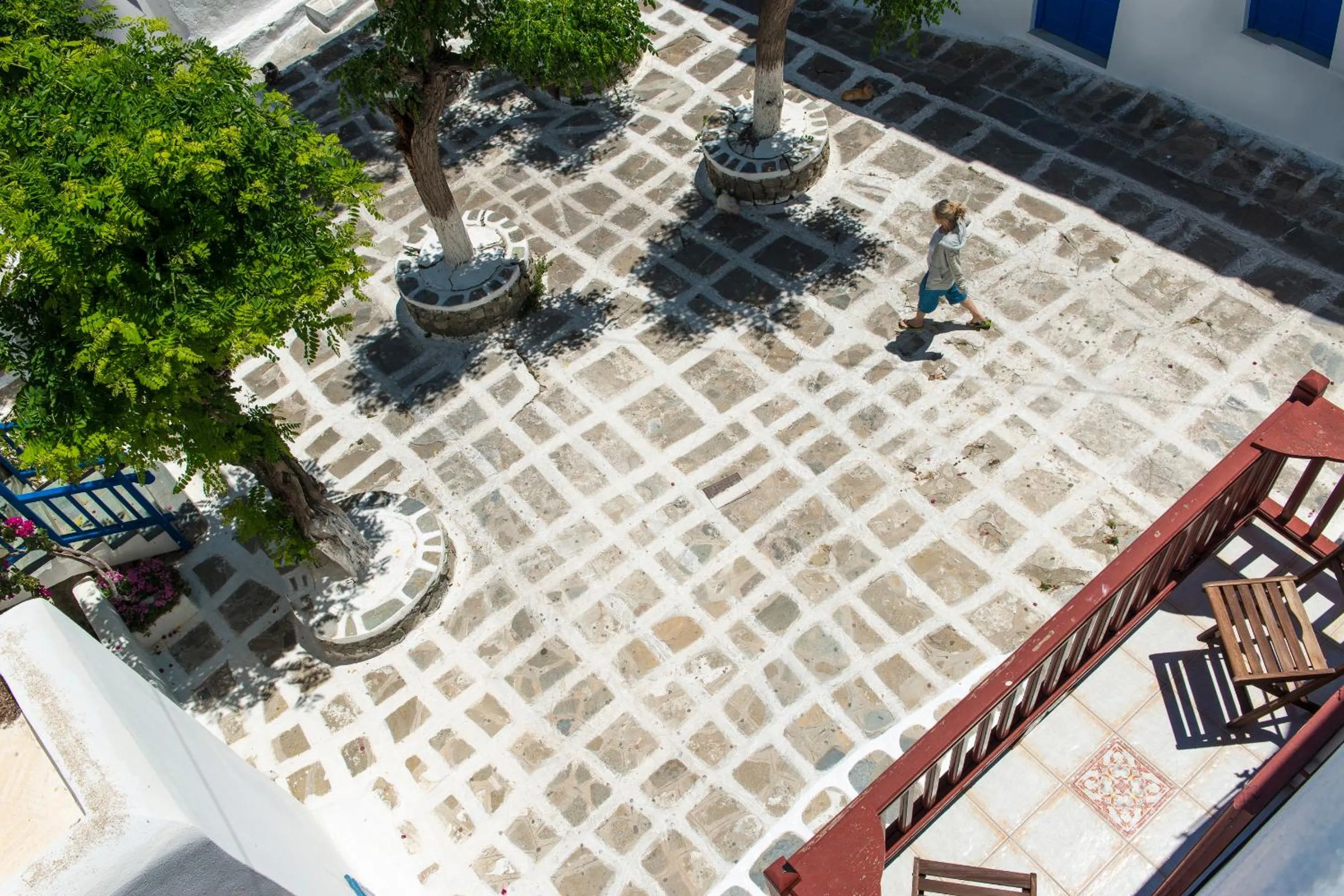 Area and facilities in Alana Mykonos