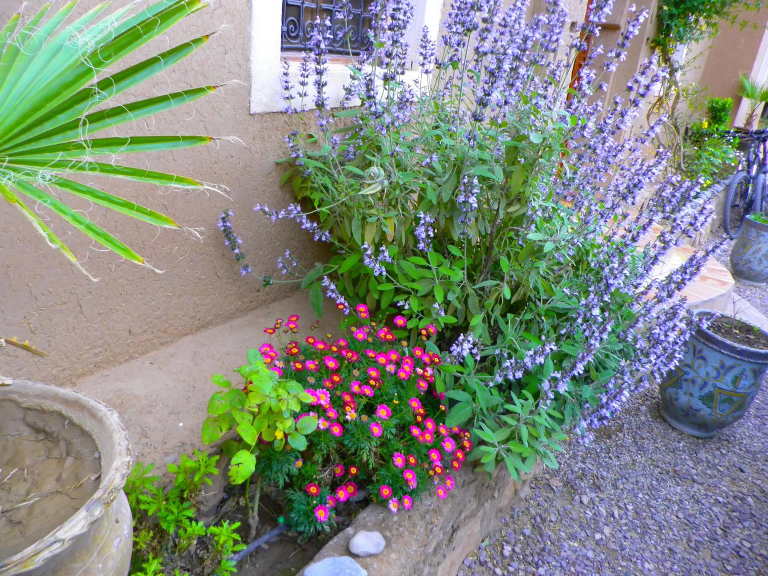Other in Auberge La Fibule Du Dades