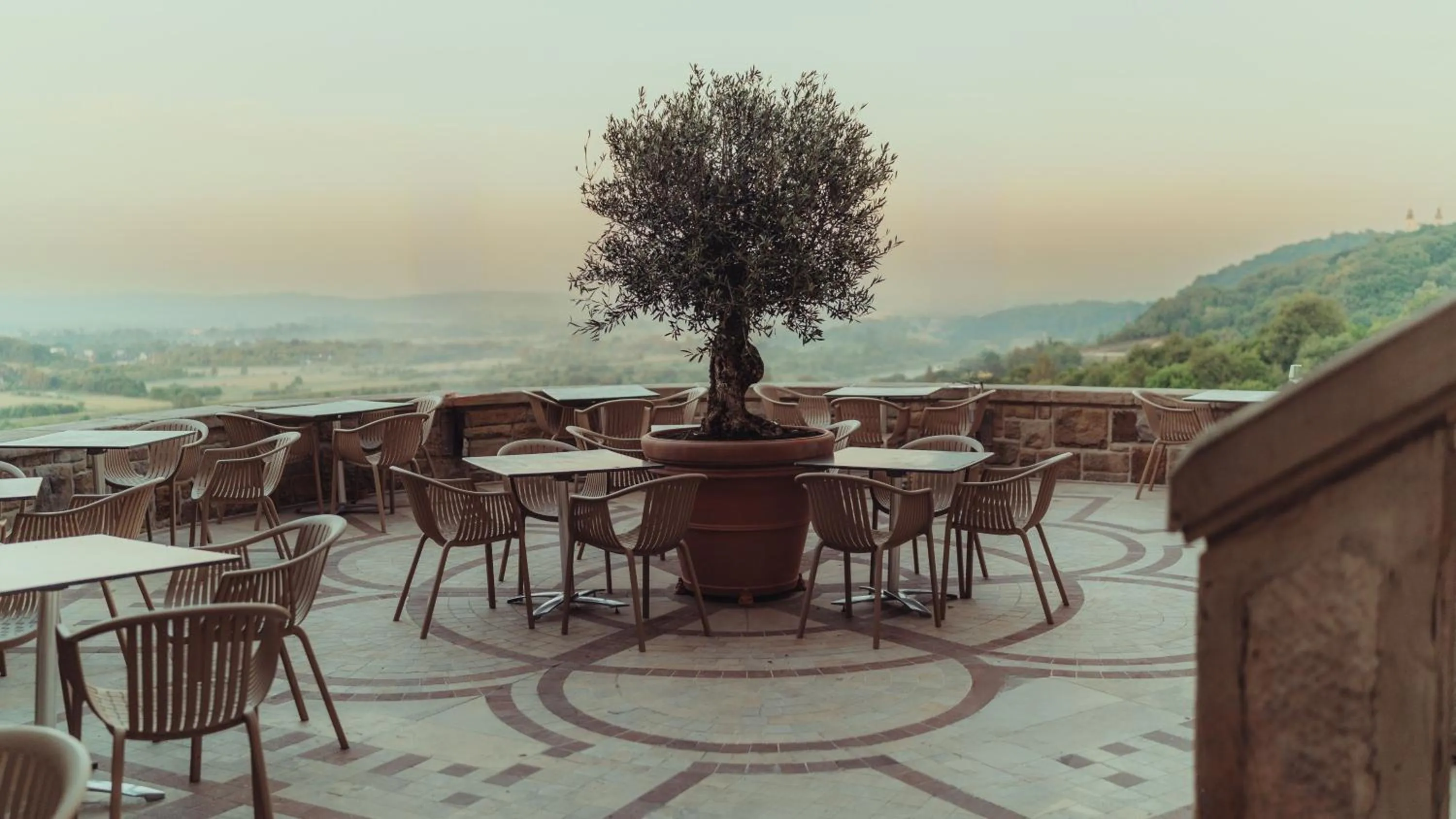 Restaurant/places to eat in Zinar Castle