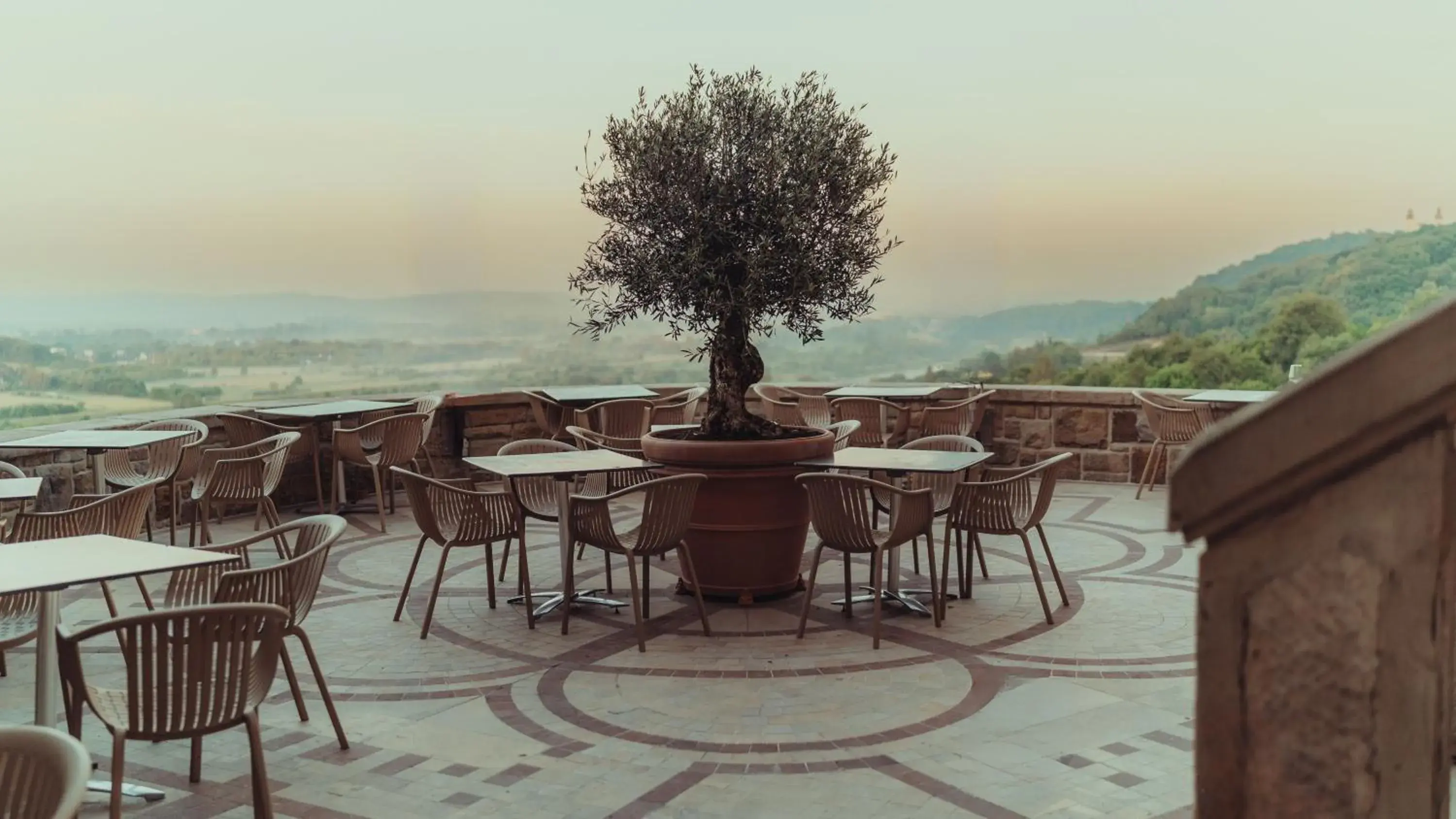 Restaurant/places to eat in Zinar Castle Restaurant/places to eat in Zinar Castle