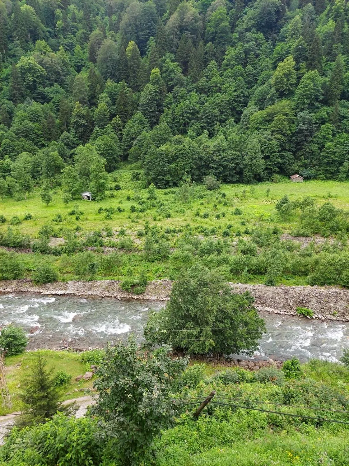 Spring in Meydan Şelale Dağ Evi