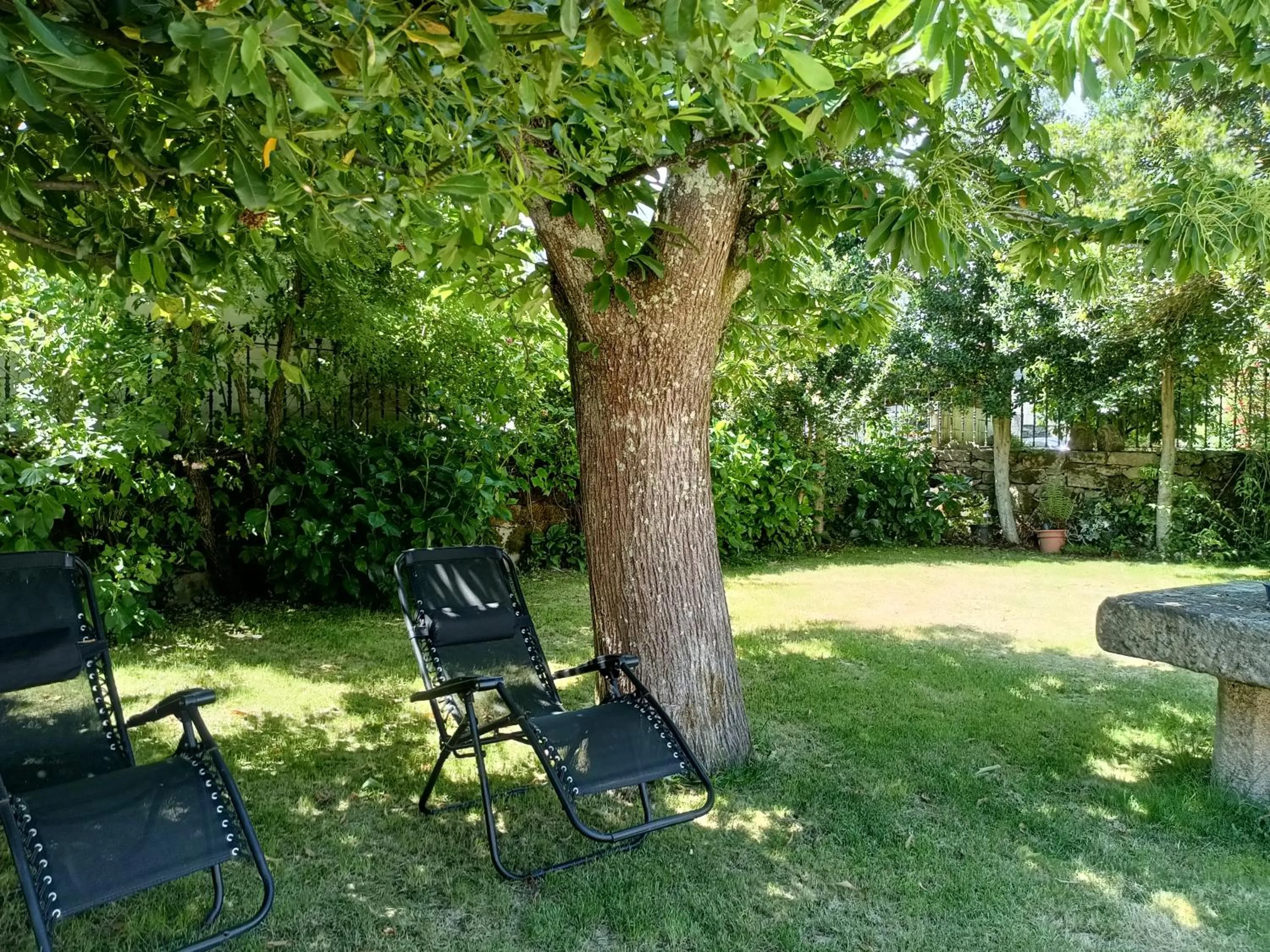 Garden view in Casa das Capelas