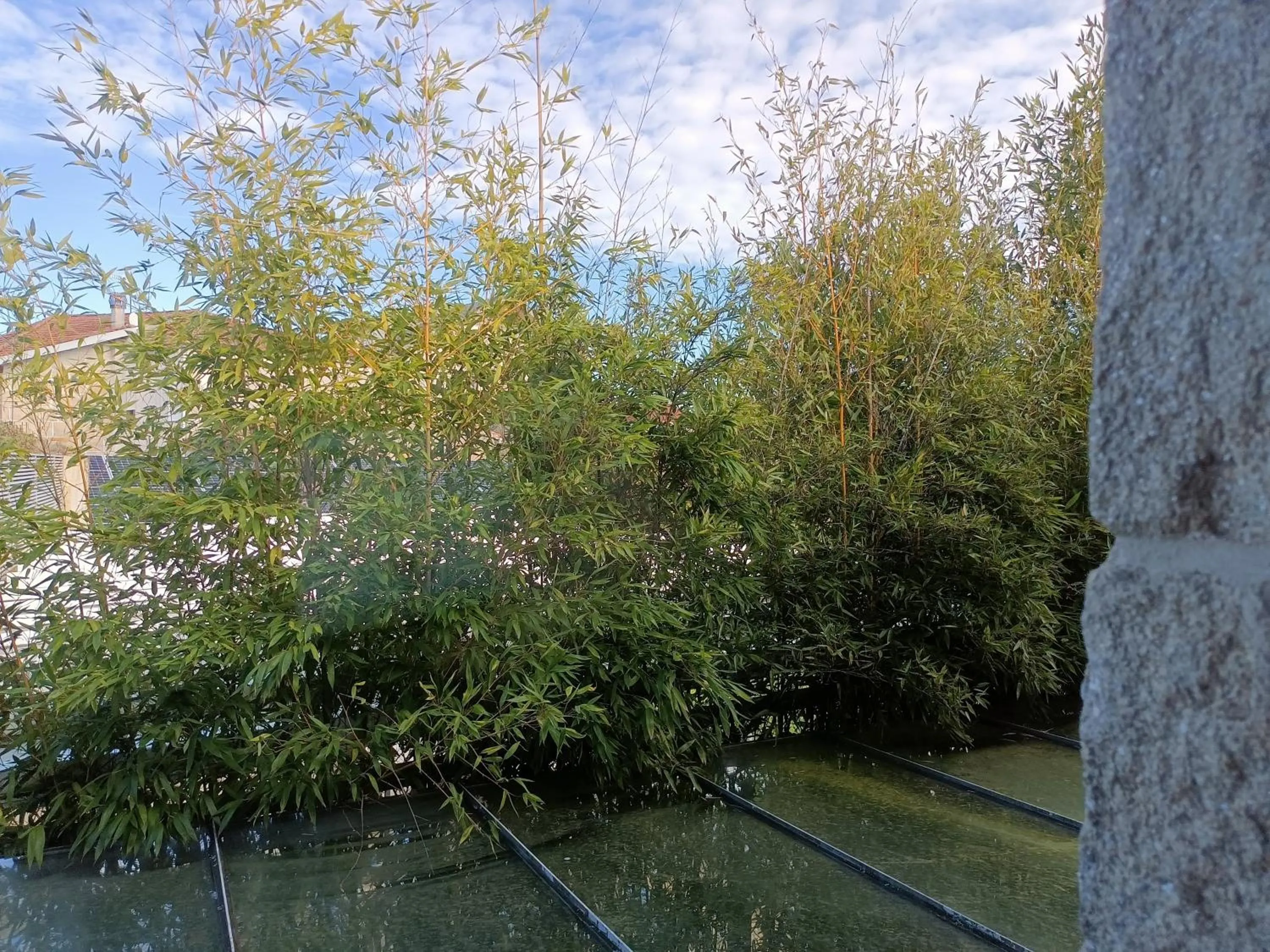 Garden view in Casa das Capelas