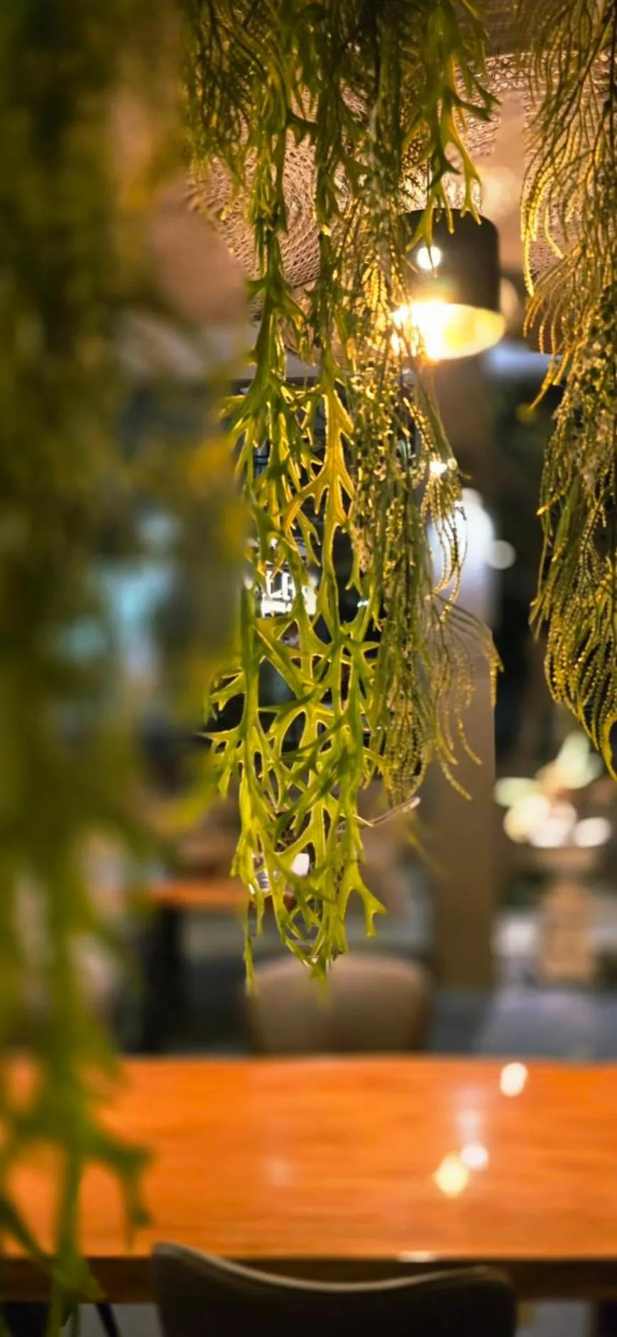 On site in LHC HOTEL AND RESORT