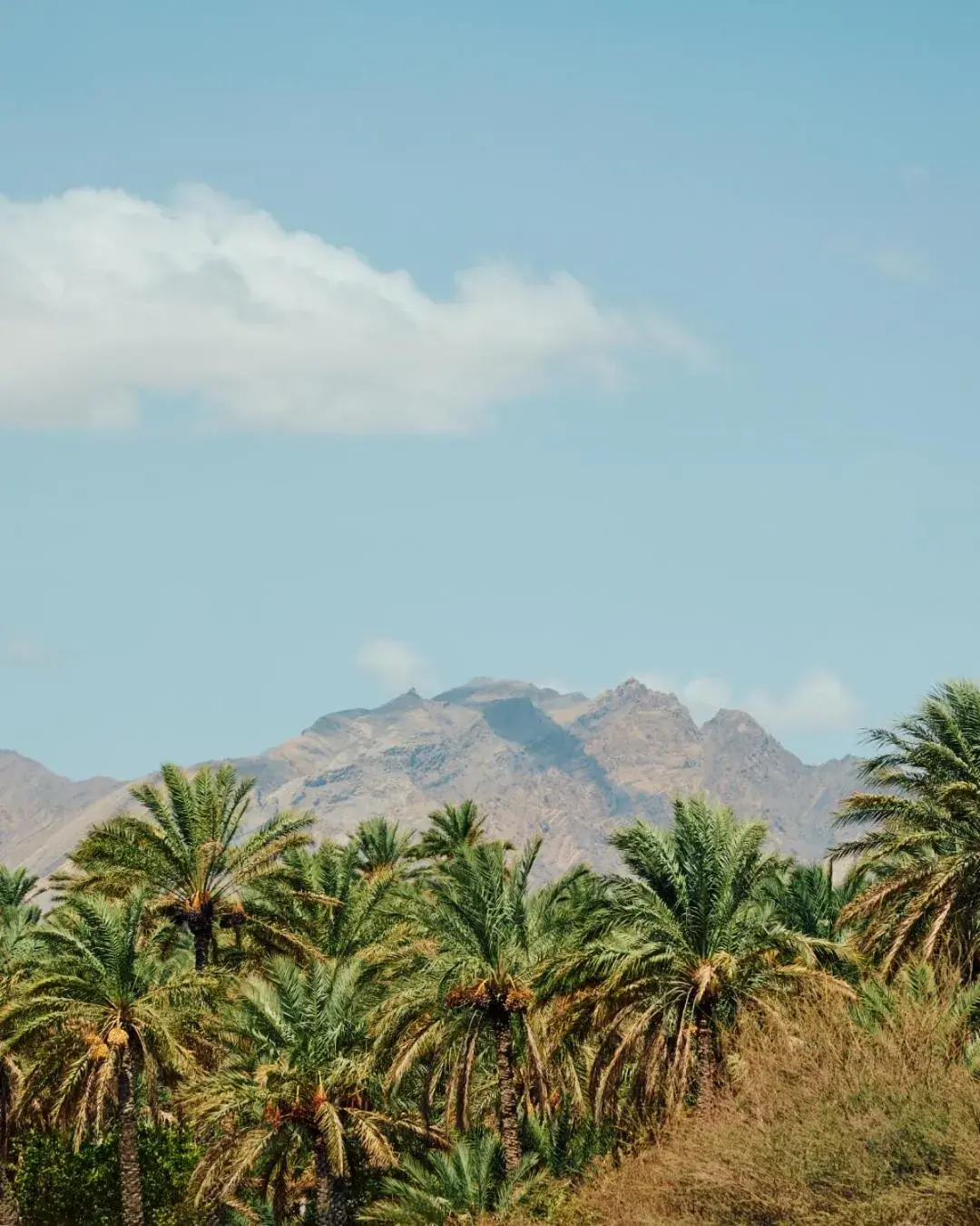 Deluxe Mountain View Twin Room in Mandarin Oriental, Muscat Deluxe Mountain View Twin Room in Mandarin Oriental, Muscat