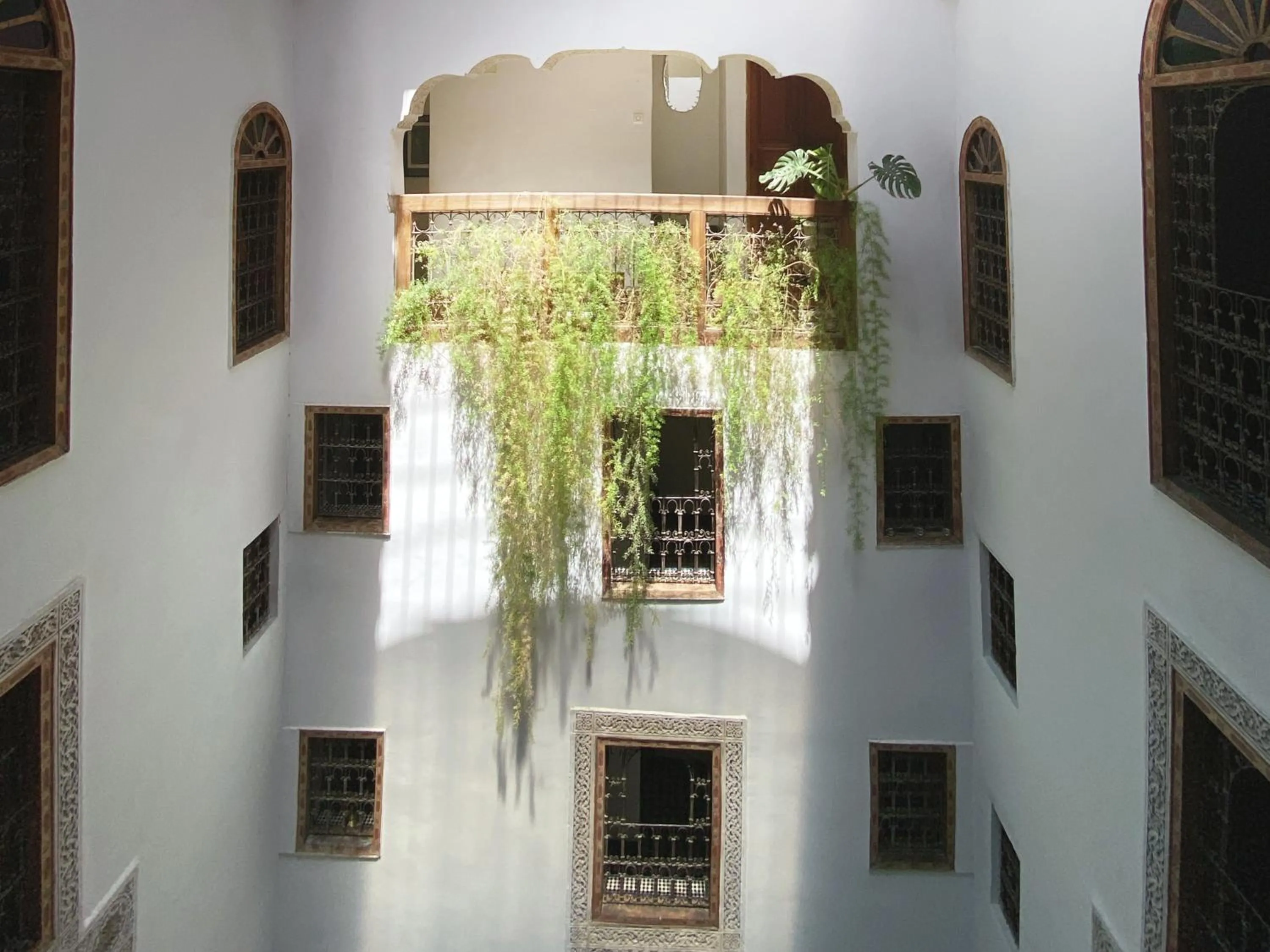Garden view in Riad 9 Fez