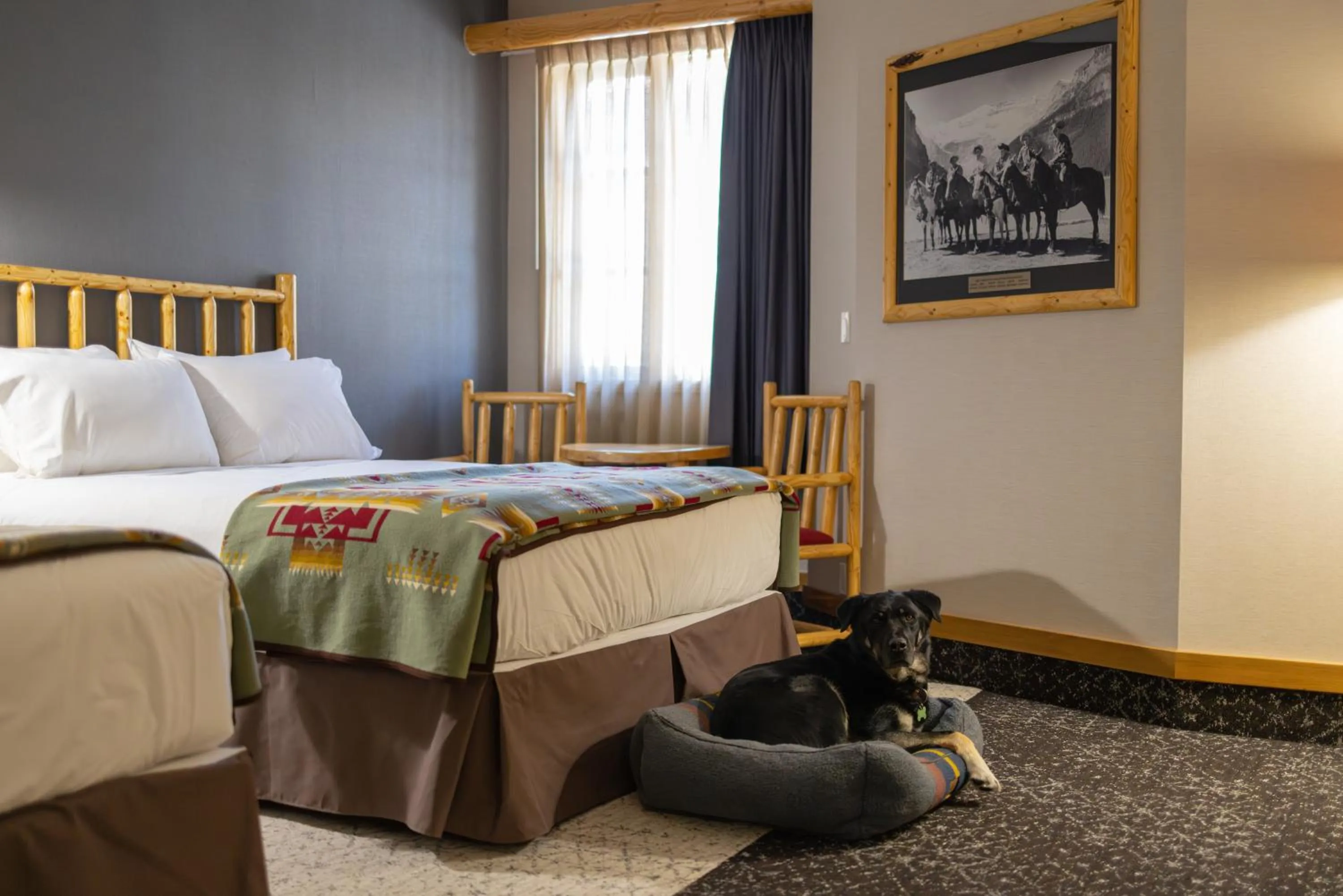 Bed in Brewster Mountain Lodge
