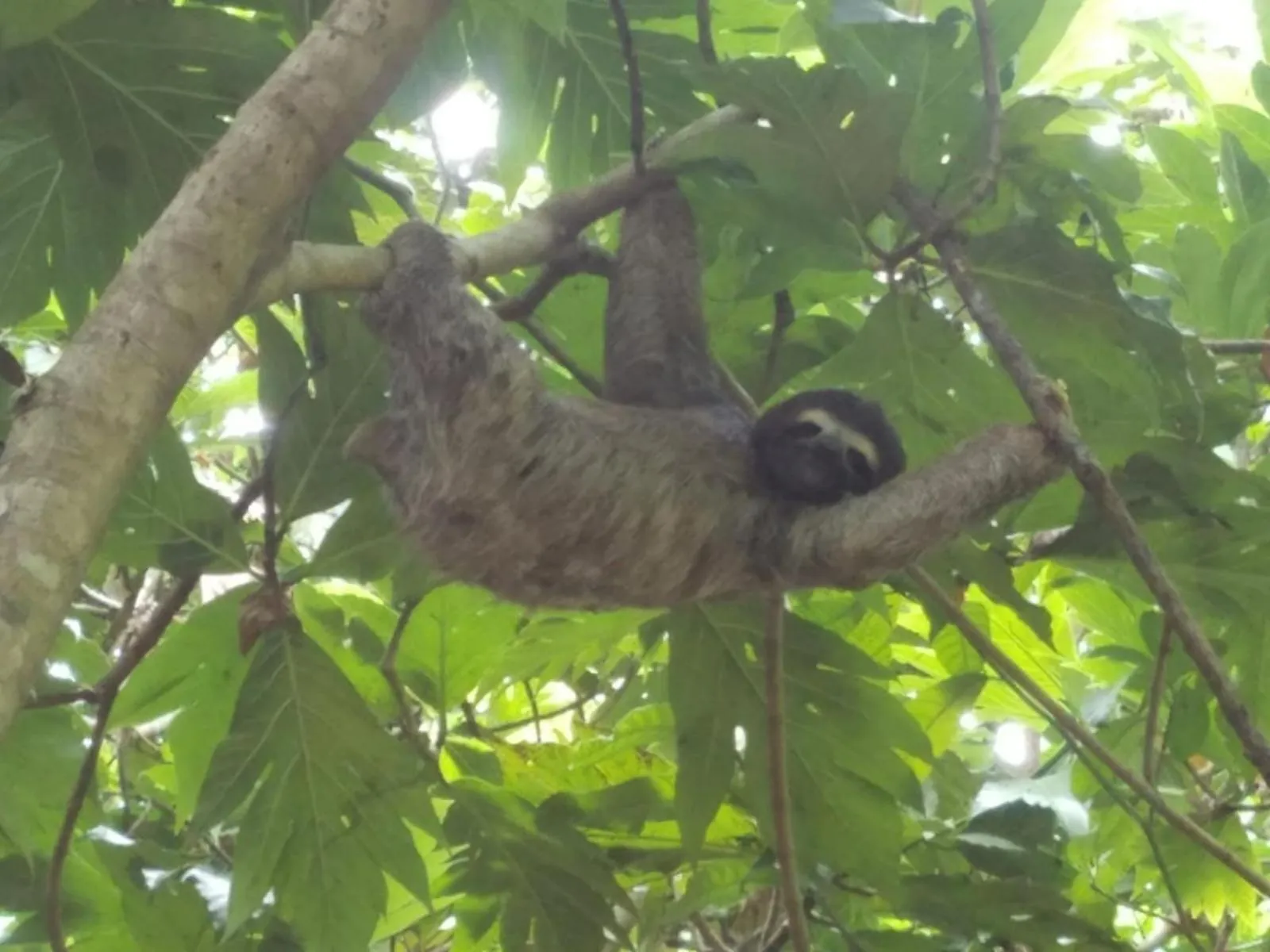 Natural landscape in Hotel El Colibri Rojo