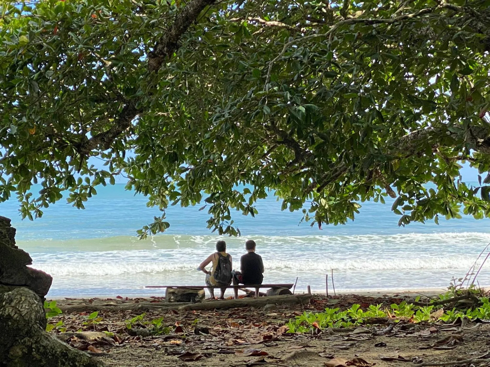 Beach in Hotel El Colibri Rojo