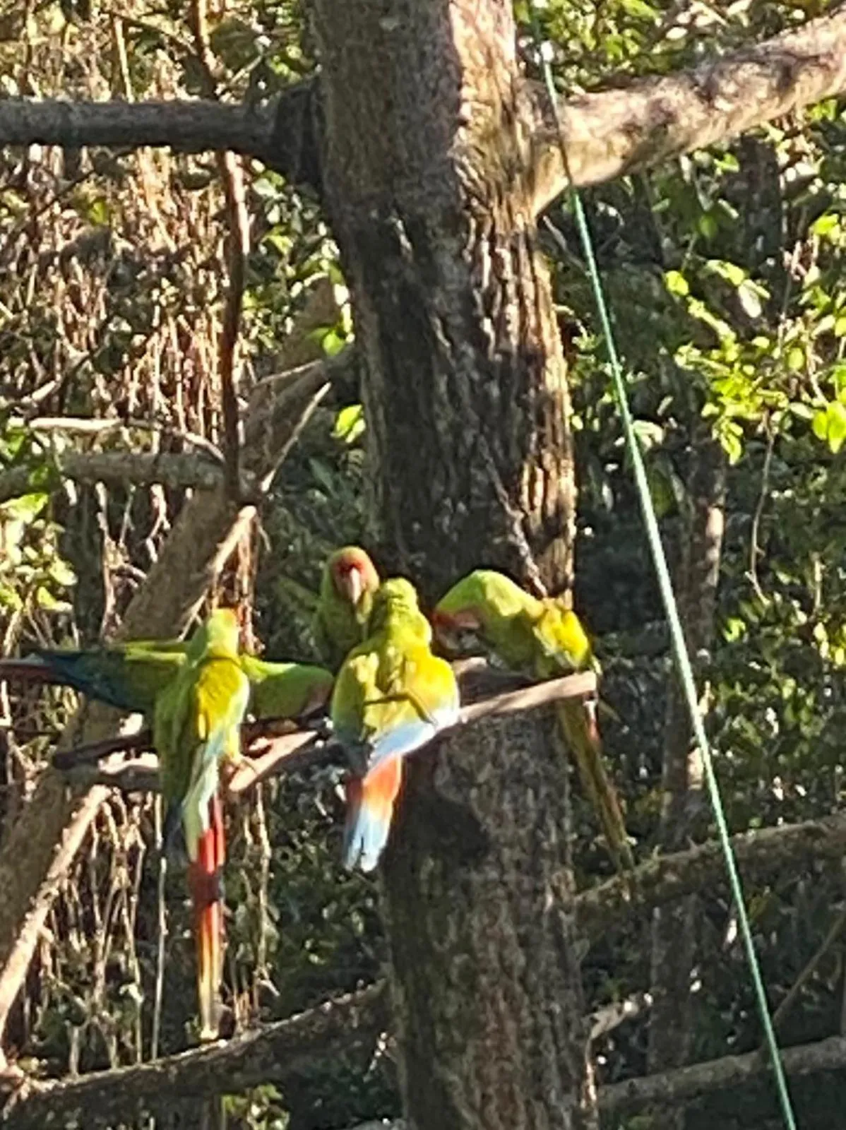Activities in Hotel El Colibri Rojo