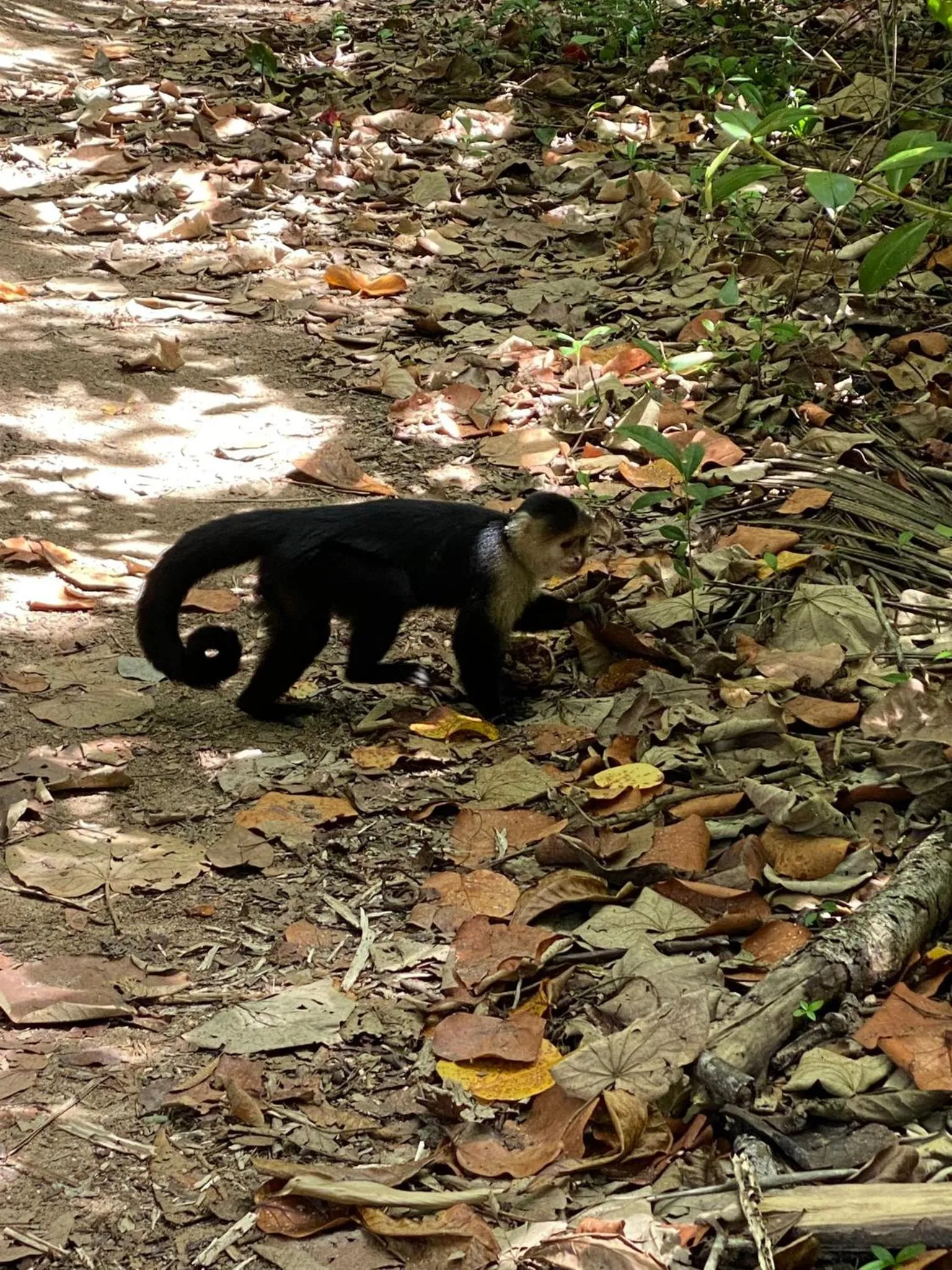 Natural landscape in Hotel El Colibri Rojo