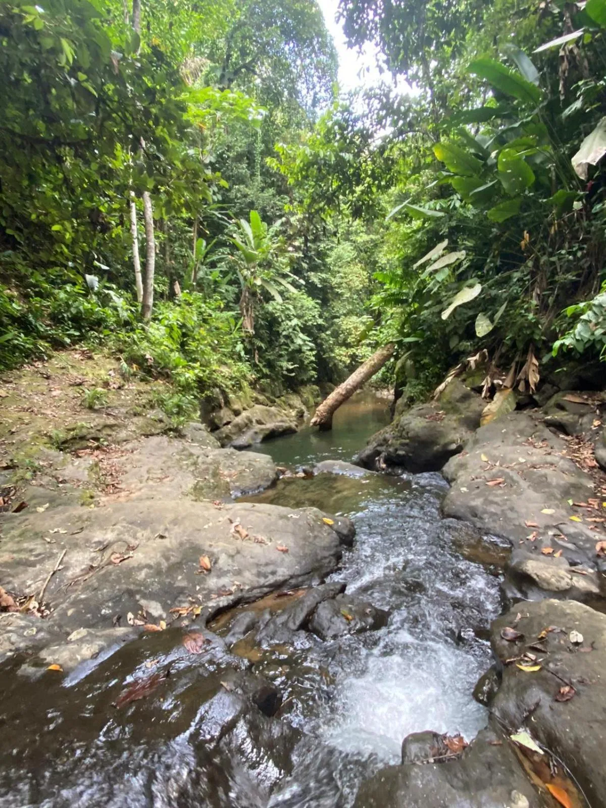 Natural landscape in Hotel El Colibri Rojo