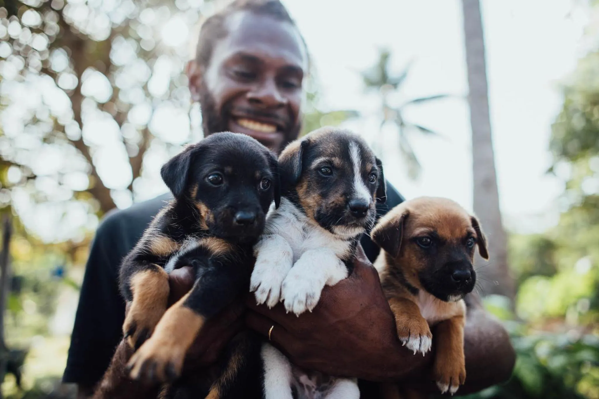 Animals in Le Life Resort