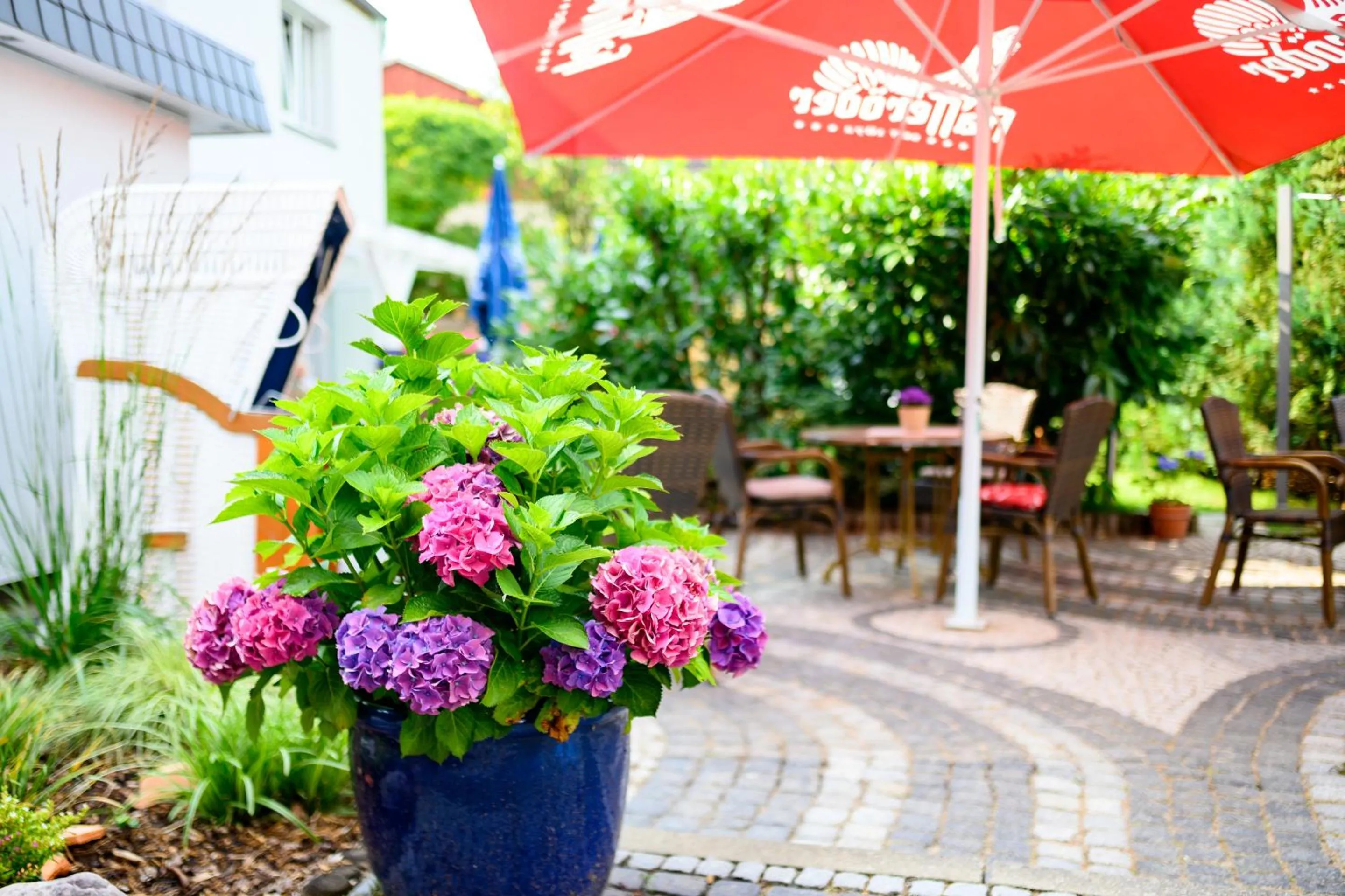 Garden in Hotel Zur Seemöwe