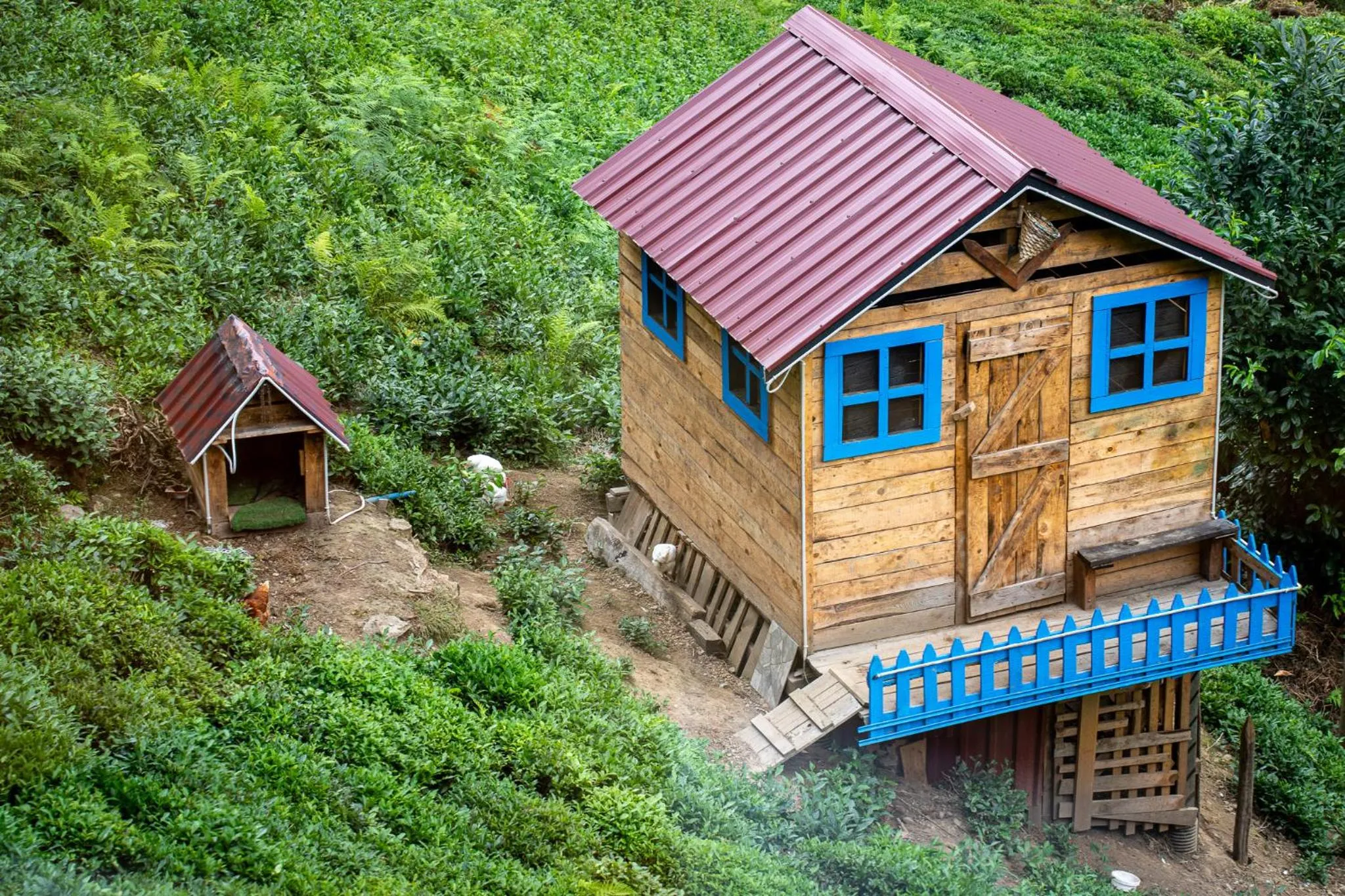 View (from property/room) in Mezrasuit Bungalov