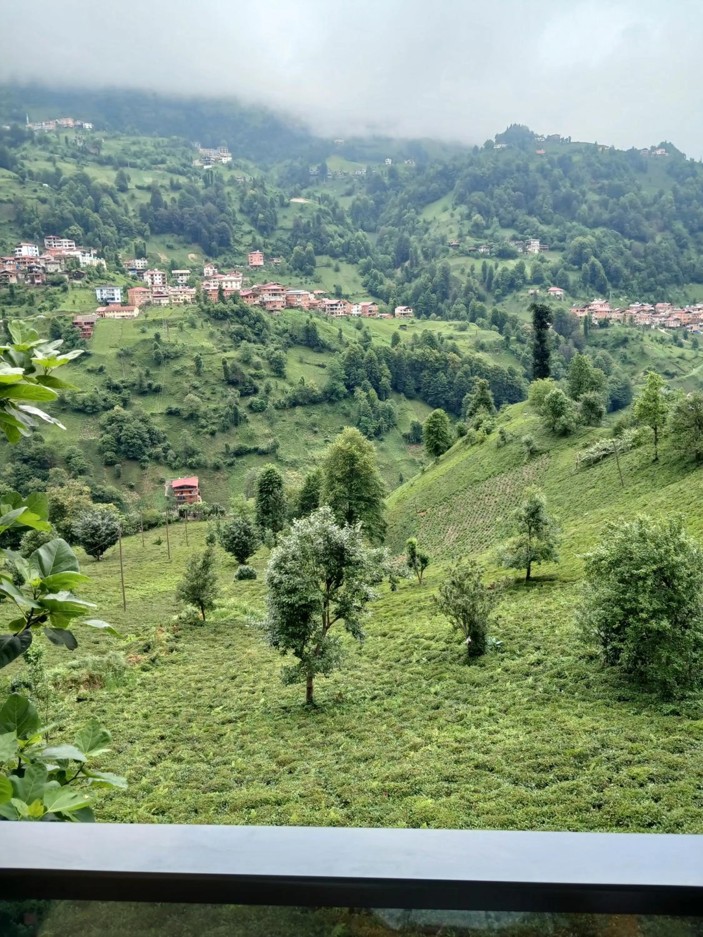 Natural landscape in Mezrasuit Bungalov