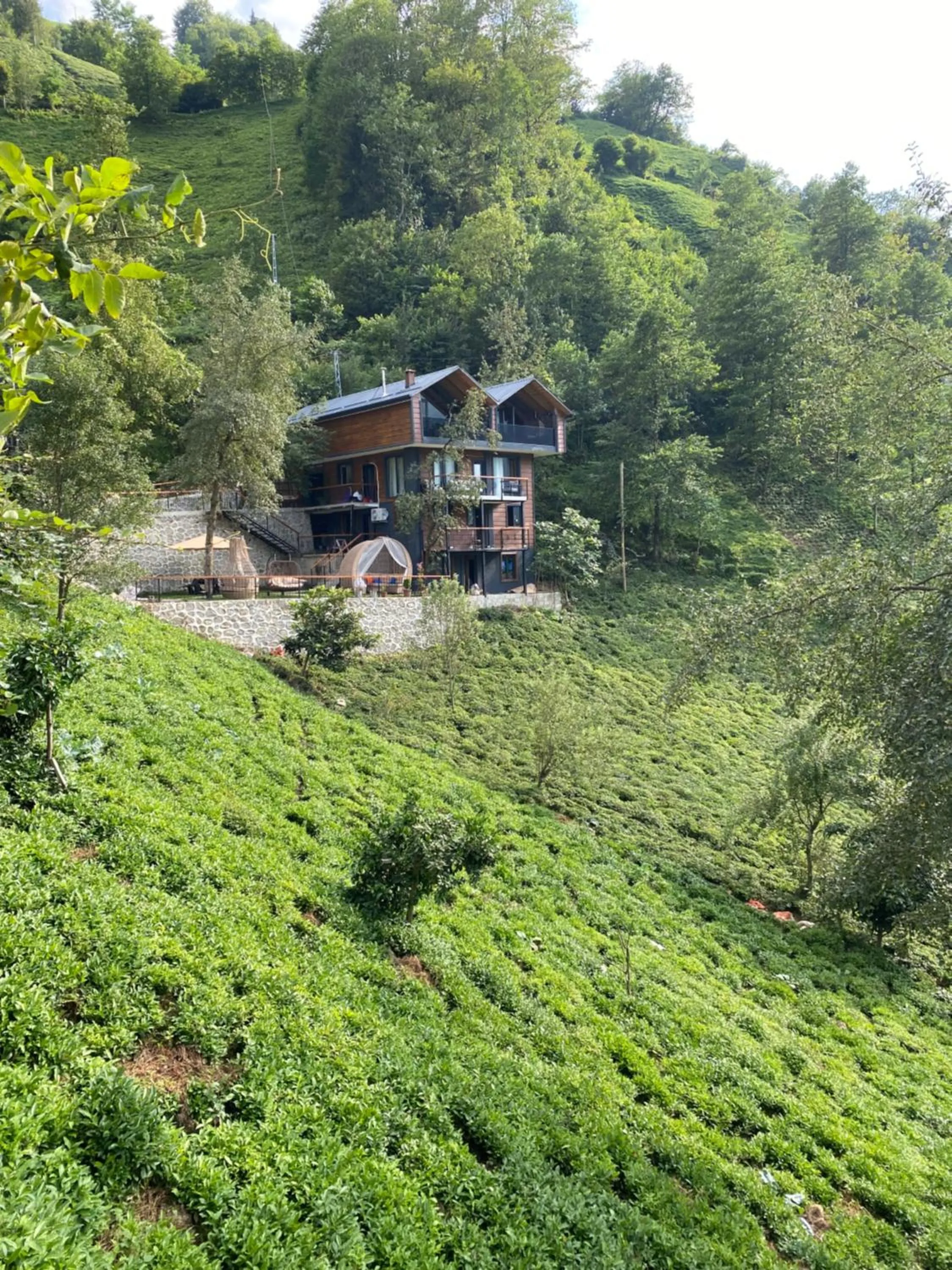 Natural landscape in Mezrasuit Bungalov