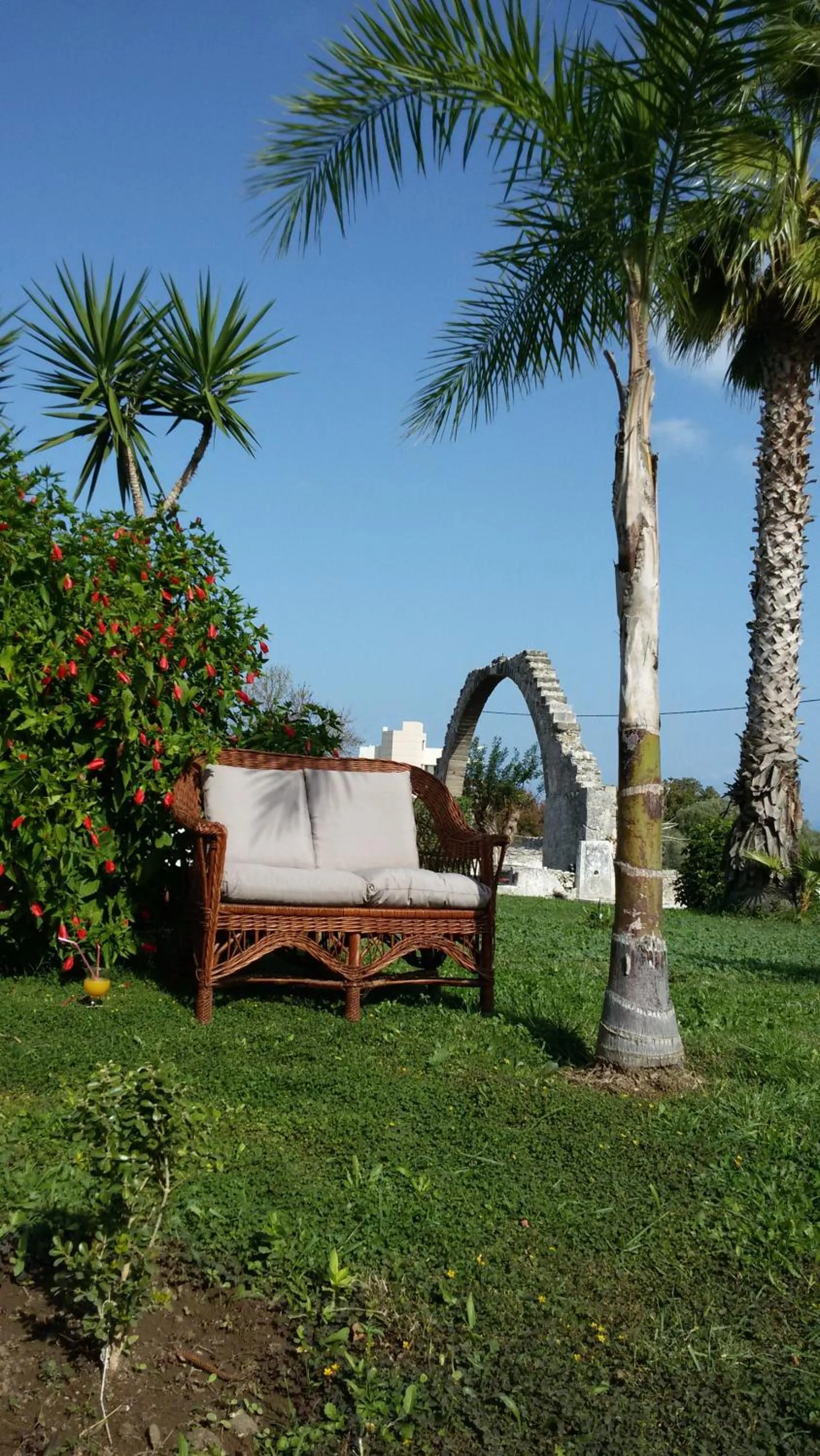 Garden in Eftihia Apartments