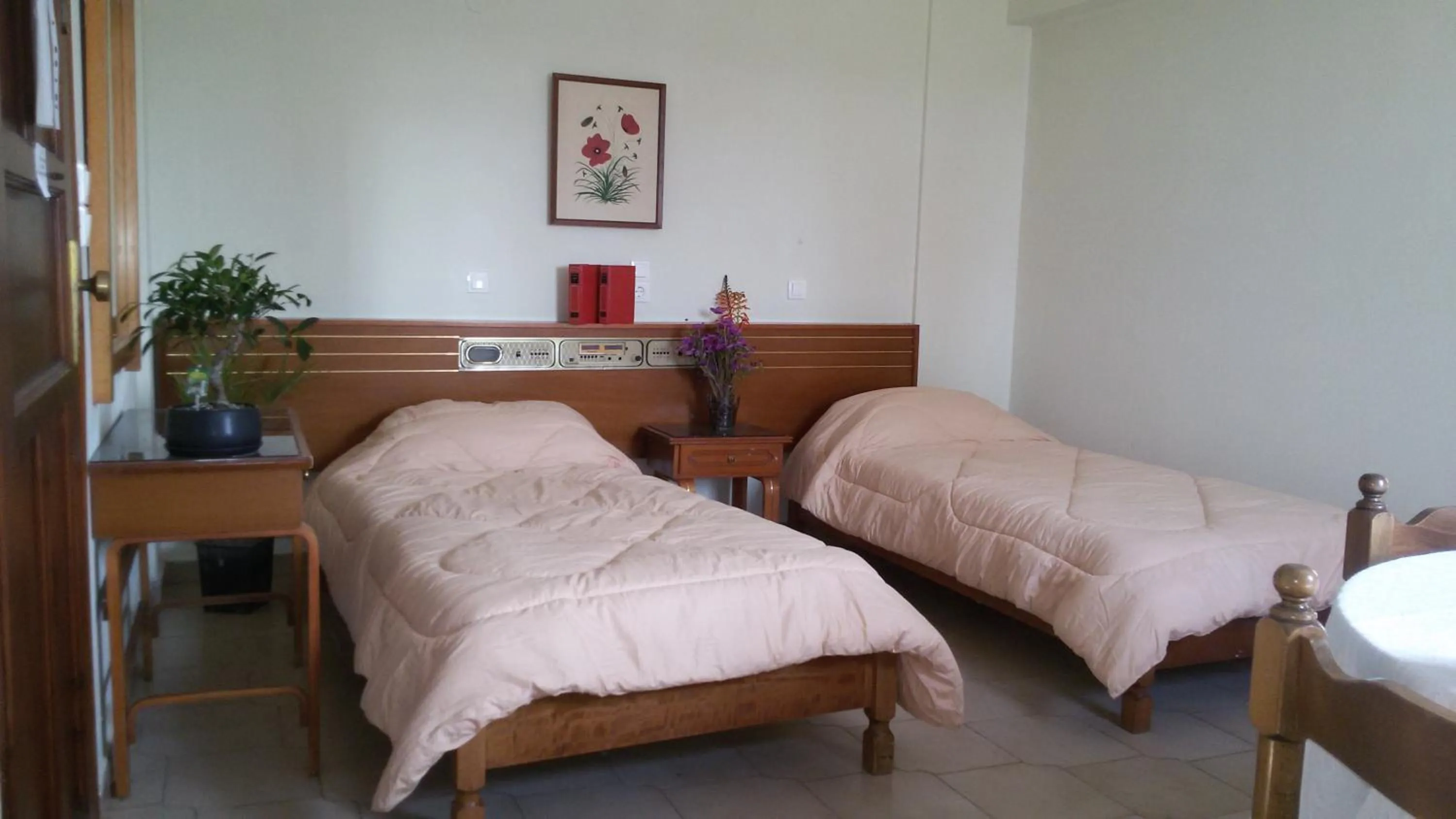 Photo of the whole room, Bed in Eftihia Apartments