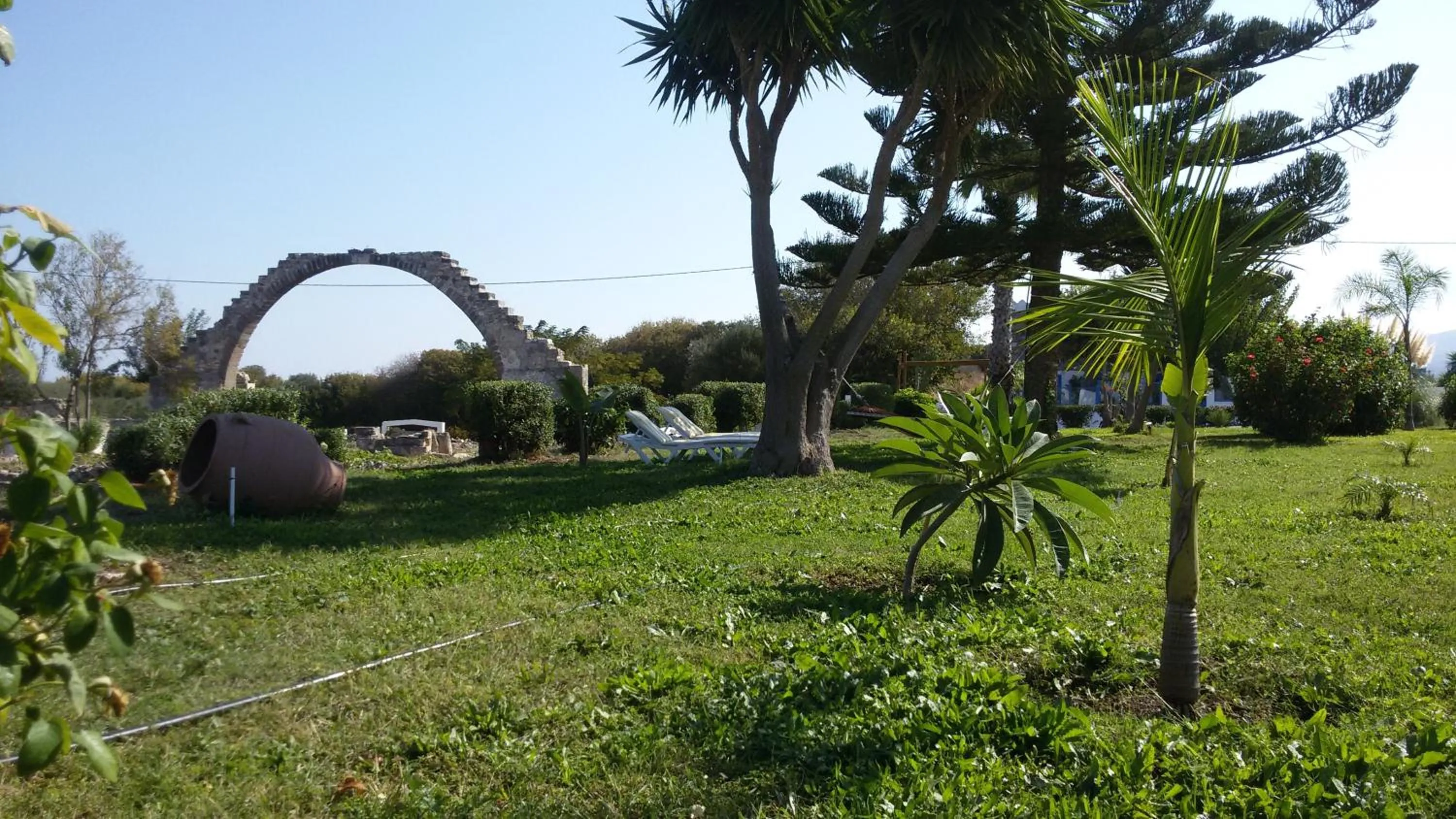 Garden in Eftihia Apartments