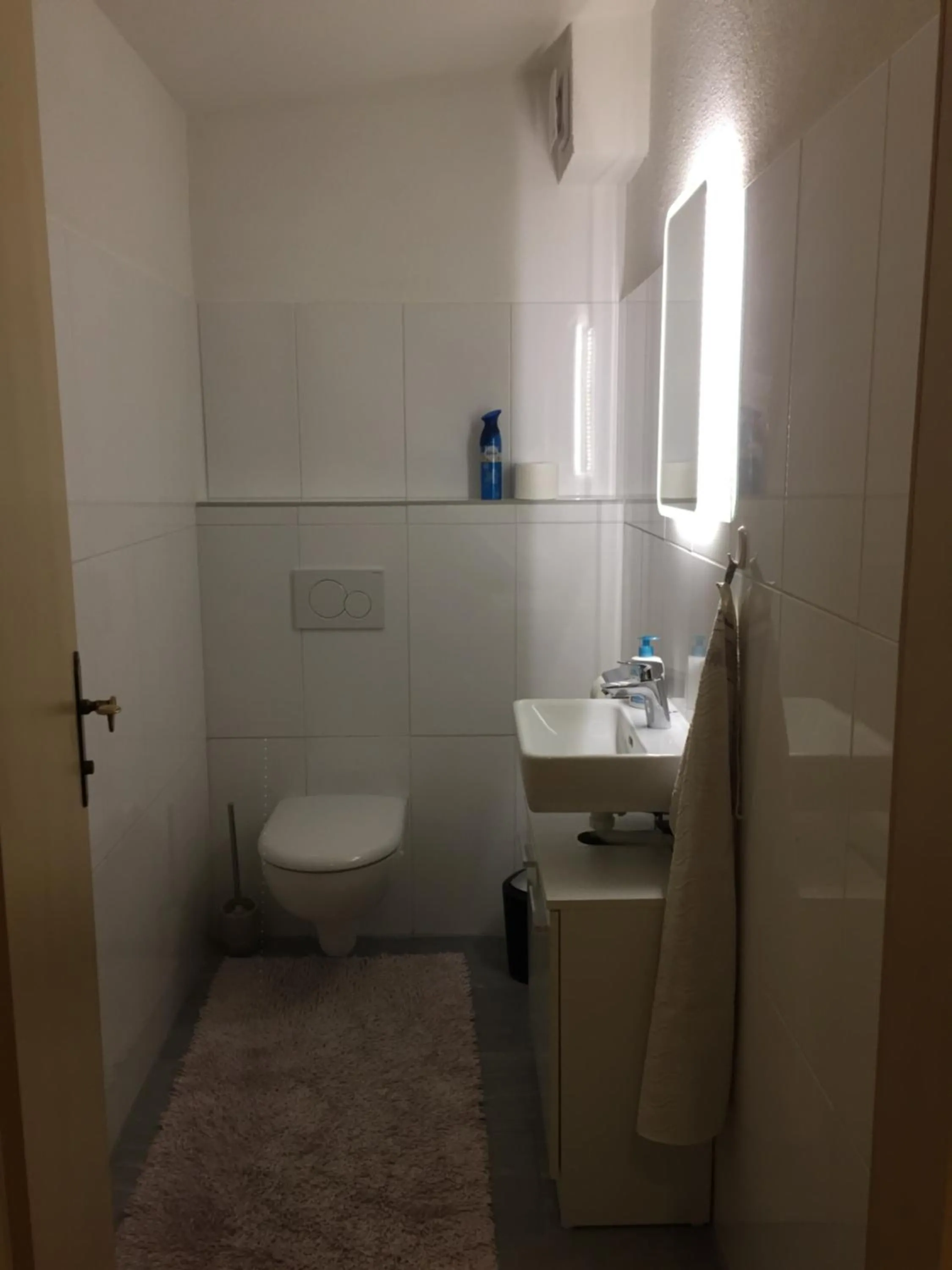 Toilet in Hauser's Ferienwohnungen