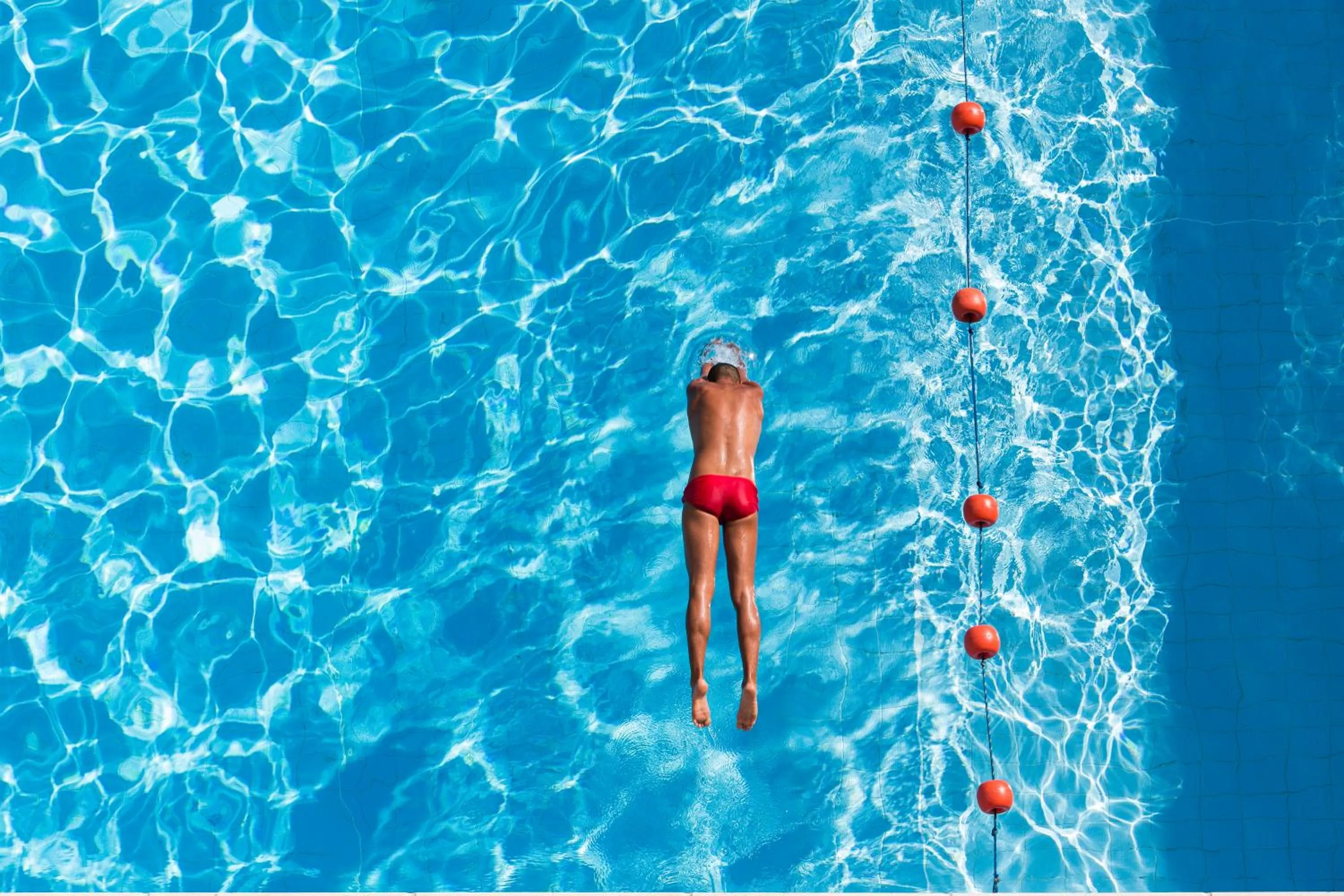 Swimming pool in Hotel Flamingo