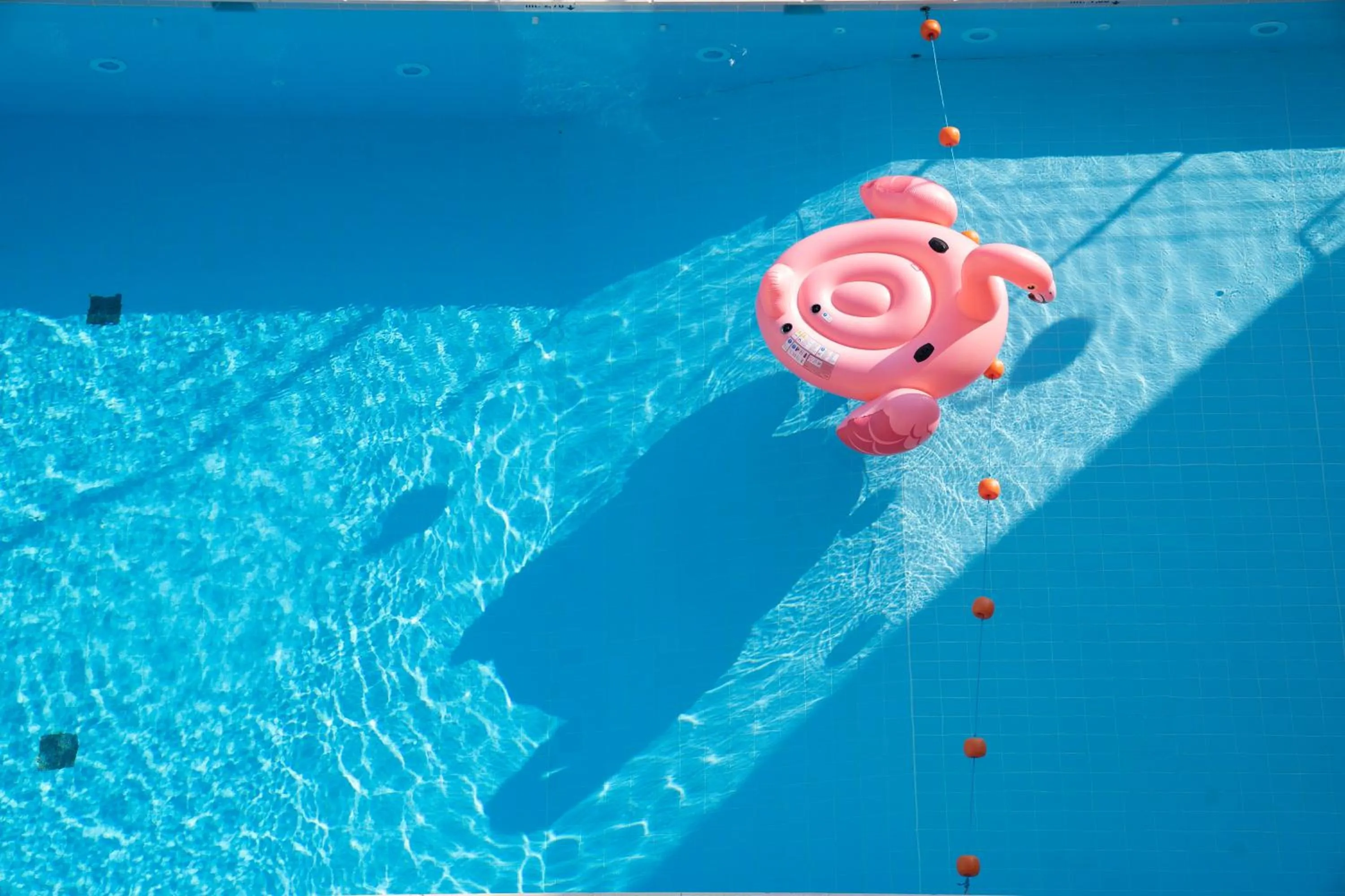 Swimming pool in Hotel Flamingo