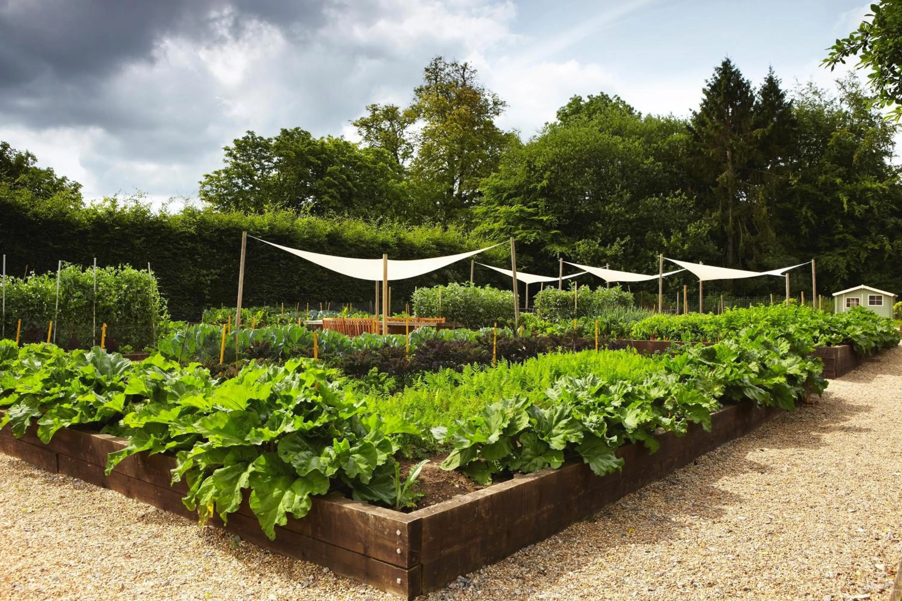 Garden in Lainston House