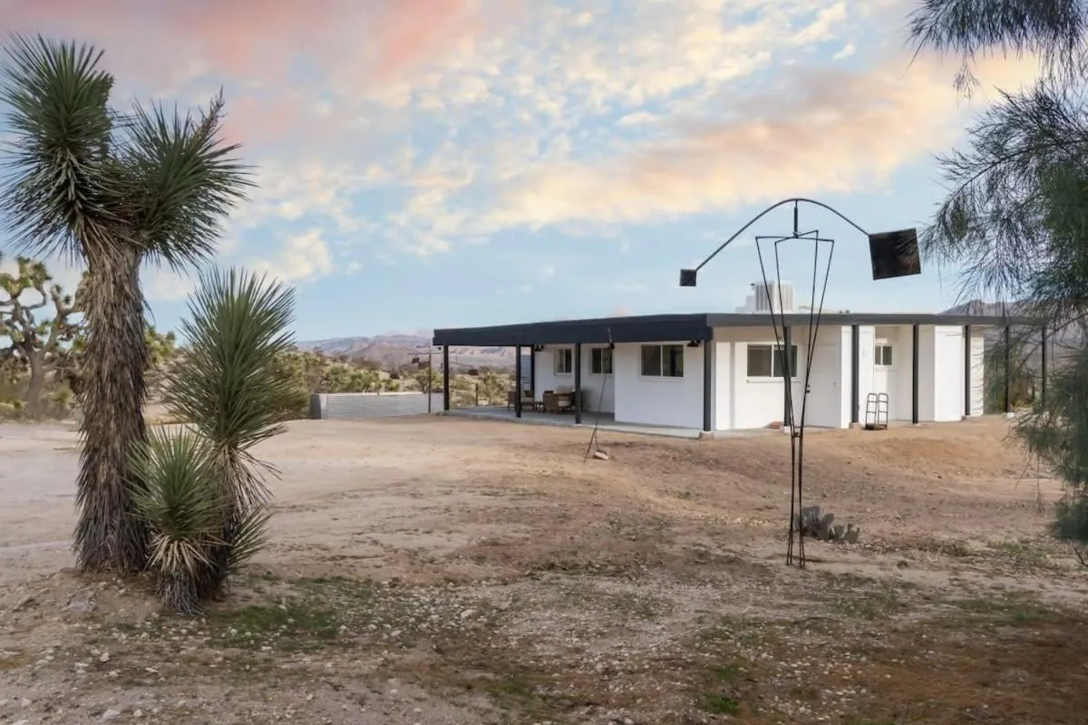 Kinetic House-Joshua Trees Sculptures Cowboy Pool