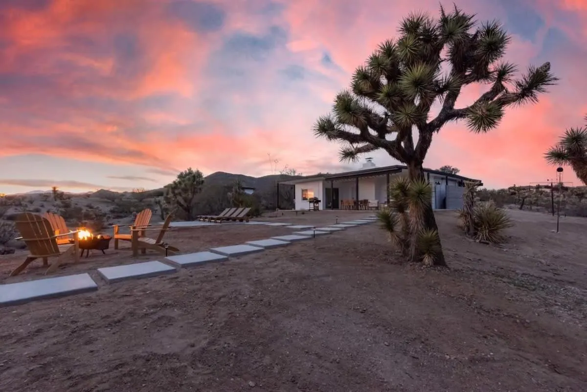 Kinetic House-Joshua Trees Sculptures Cowboy Pool