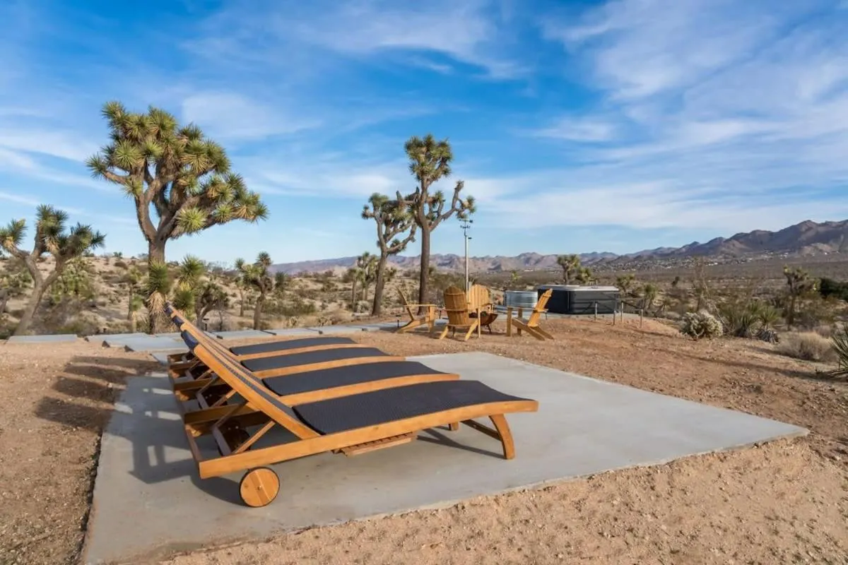 Kinetic House-Joshua Trees Sculptures Cowboy Pool