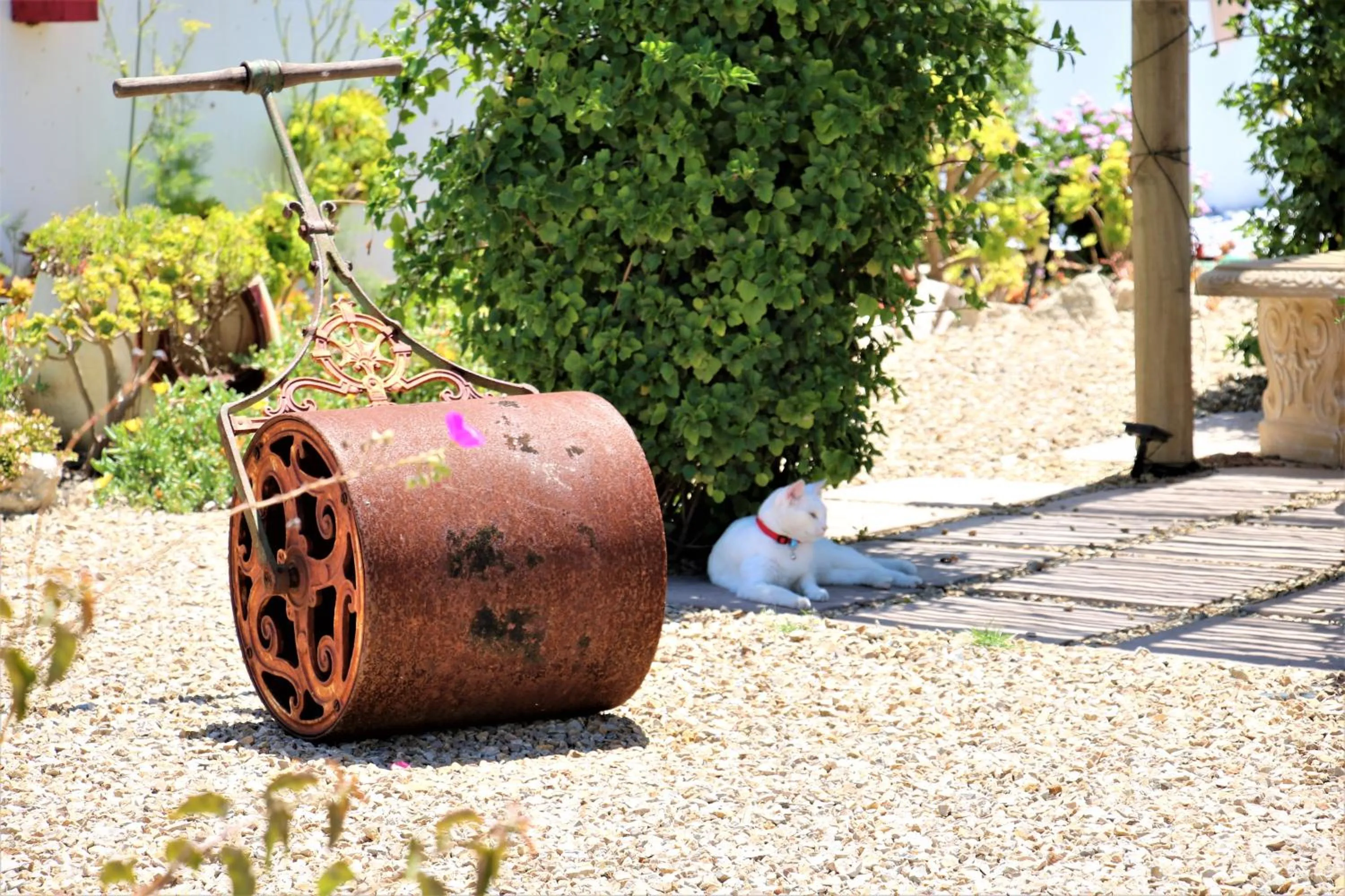 Garden in Baywatch Guest House