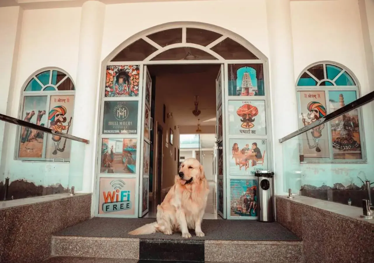 Pets in HOTEL MAYURA