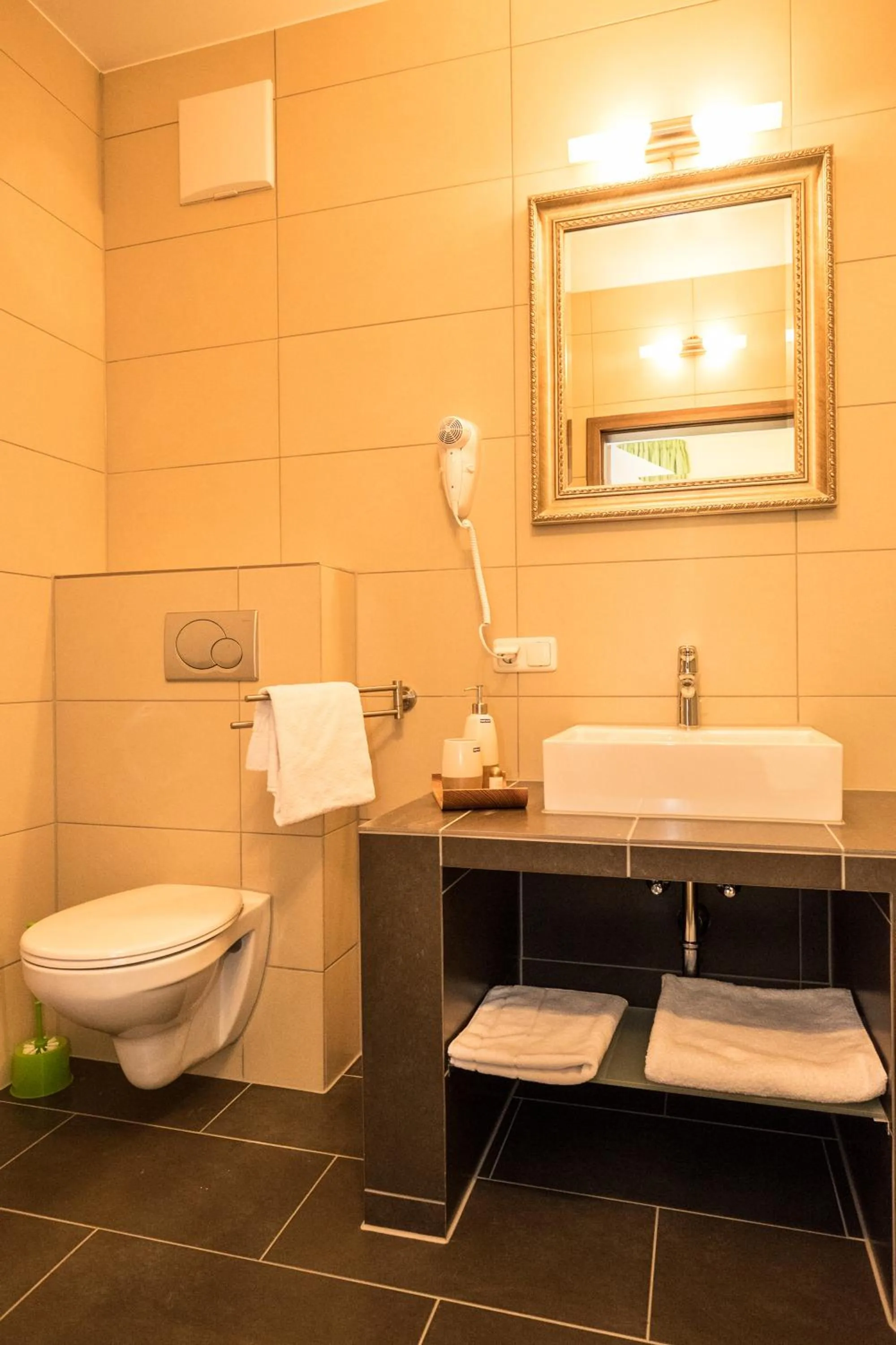 Toilet in Hotel Viola