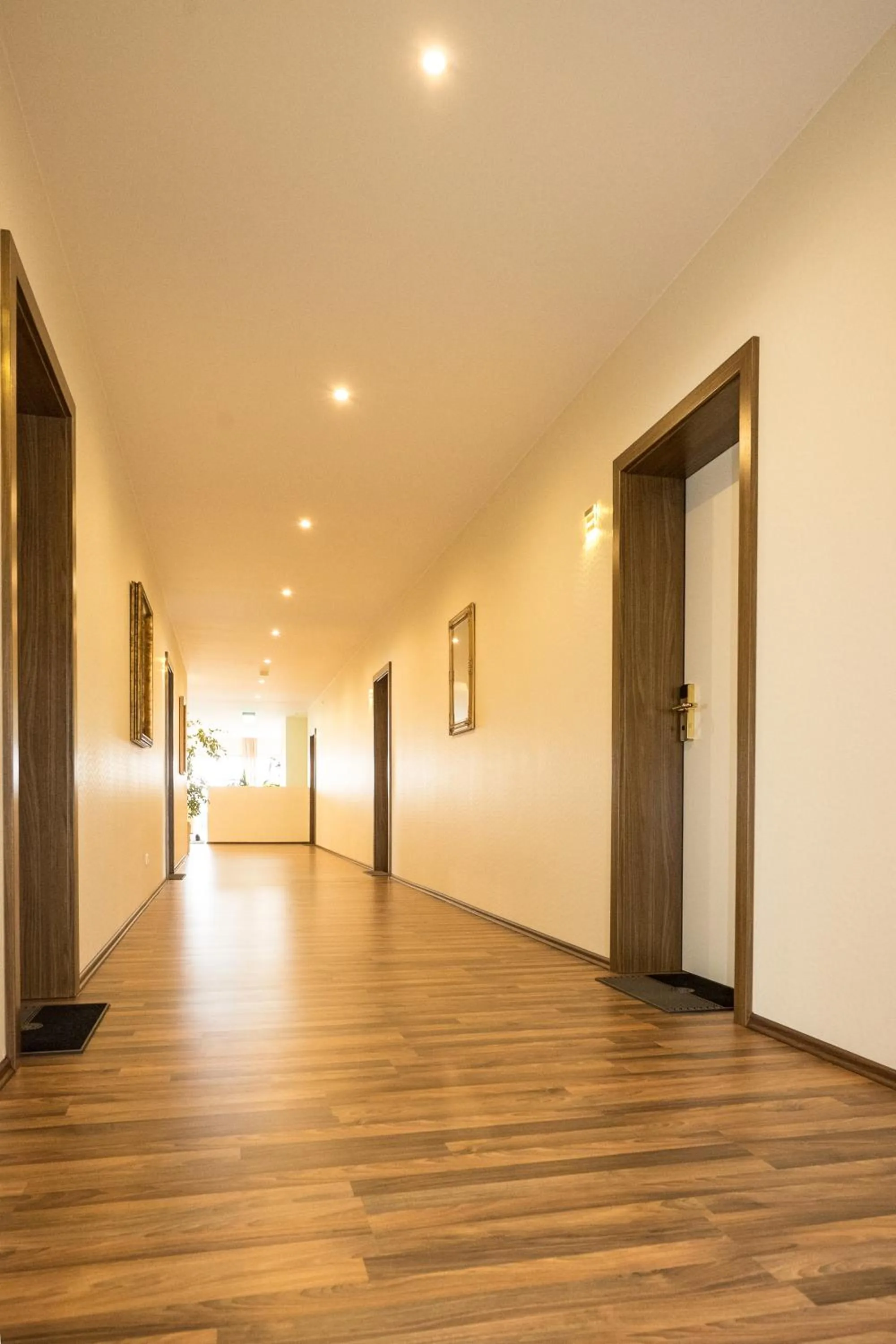 Other in Hotel Viola