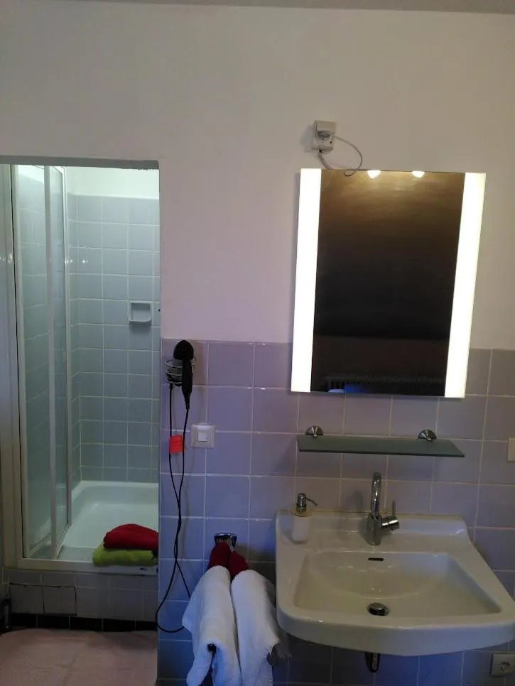 Shower in Bio-Hotel Zum Forsthaus
