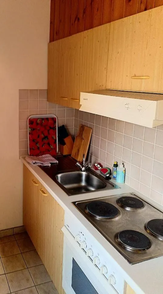Kitchen or kitchenette in Bio-Hotel Zum Forsthaus